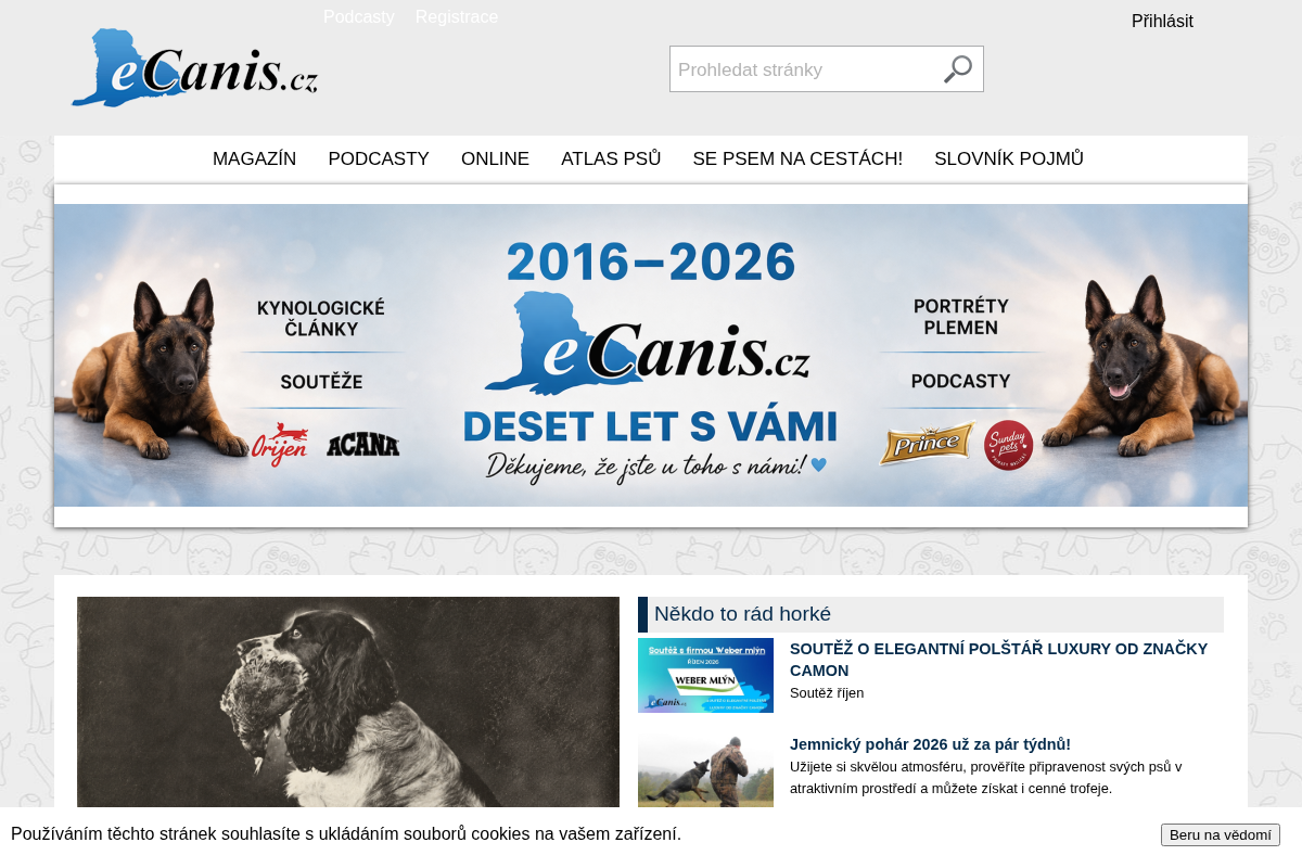 eCanis media, s.r.o.