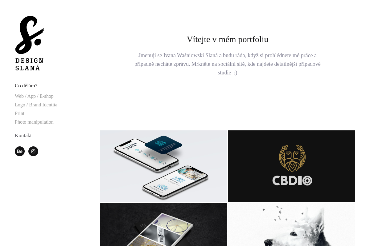 Design Slaná