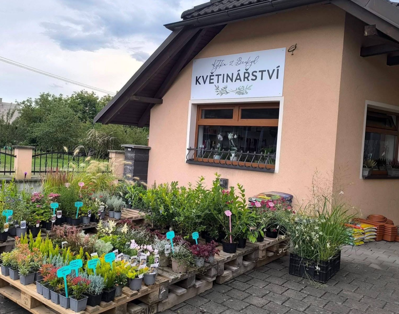 Kytka z Beskyd