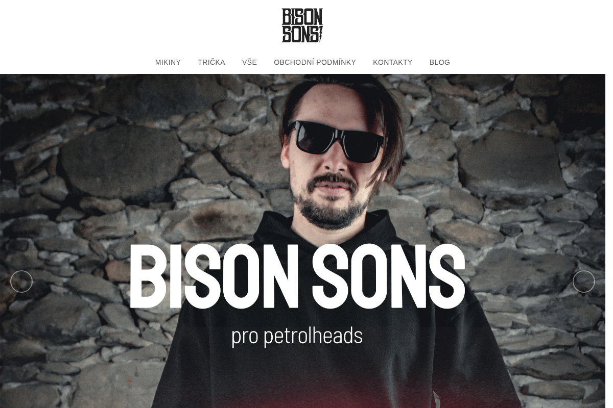 Bison Sons
