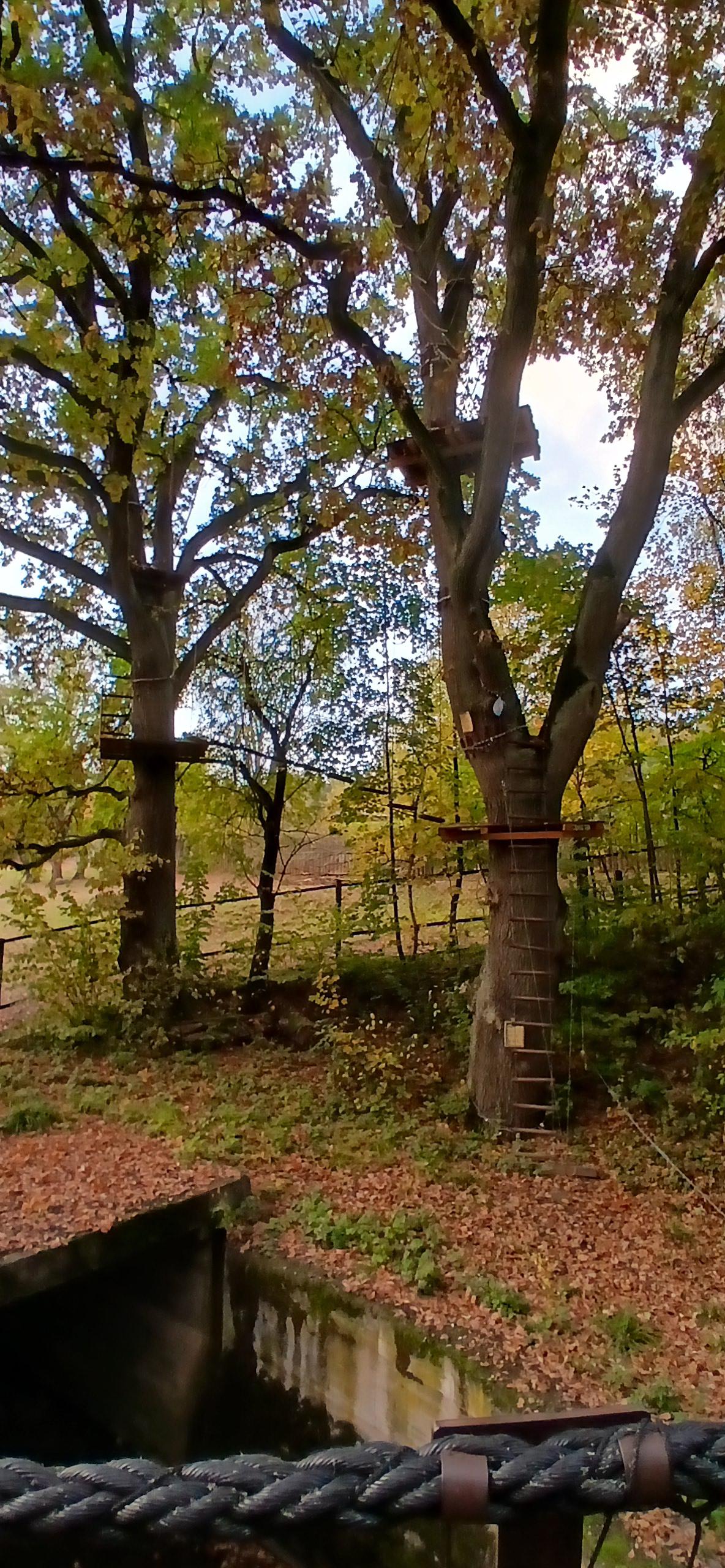 Lanový park KATIKA MITI foto 5