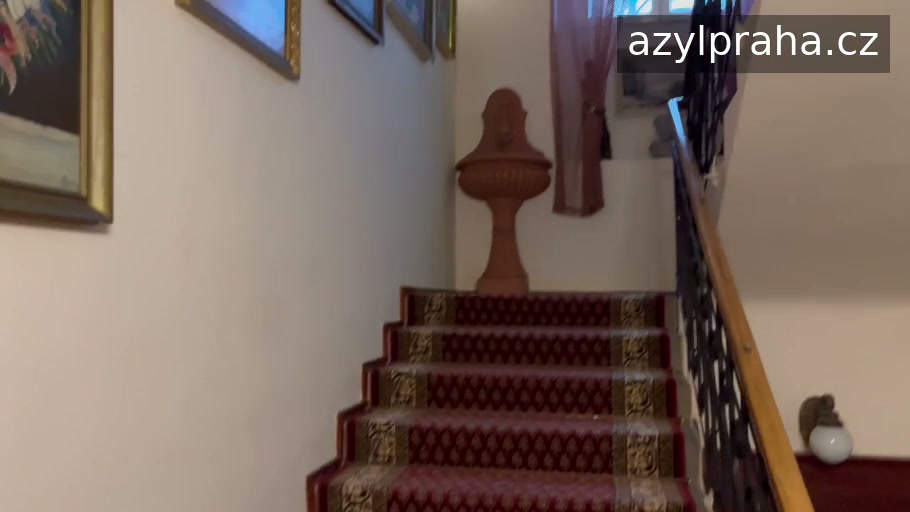 AZYL PRAHA foto 2 (náhled videa)