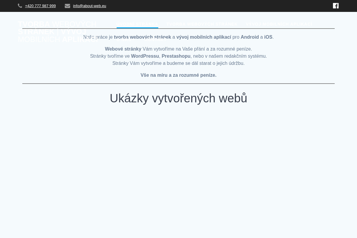 Václav Janeček - Tvorba webových stránek