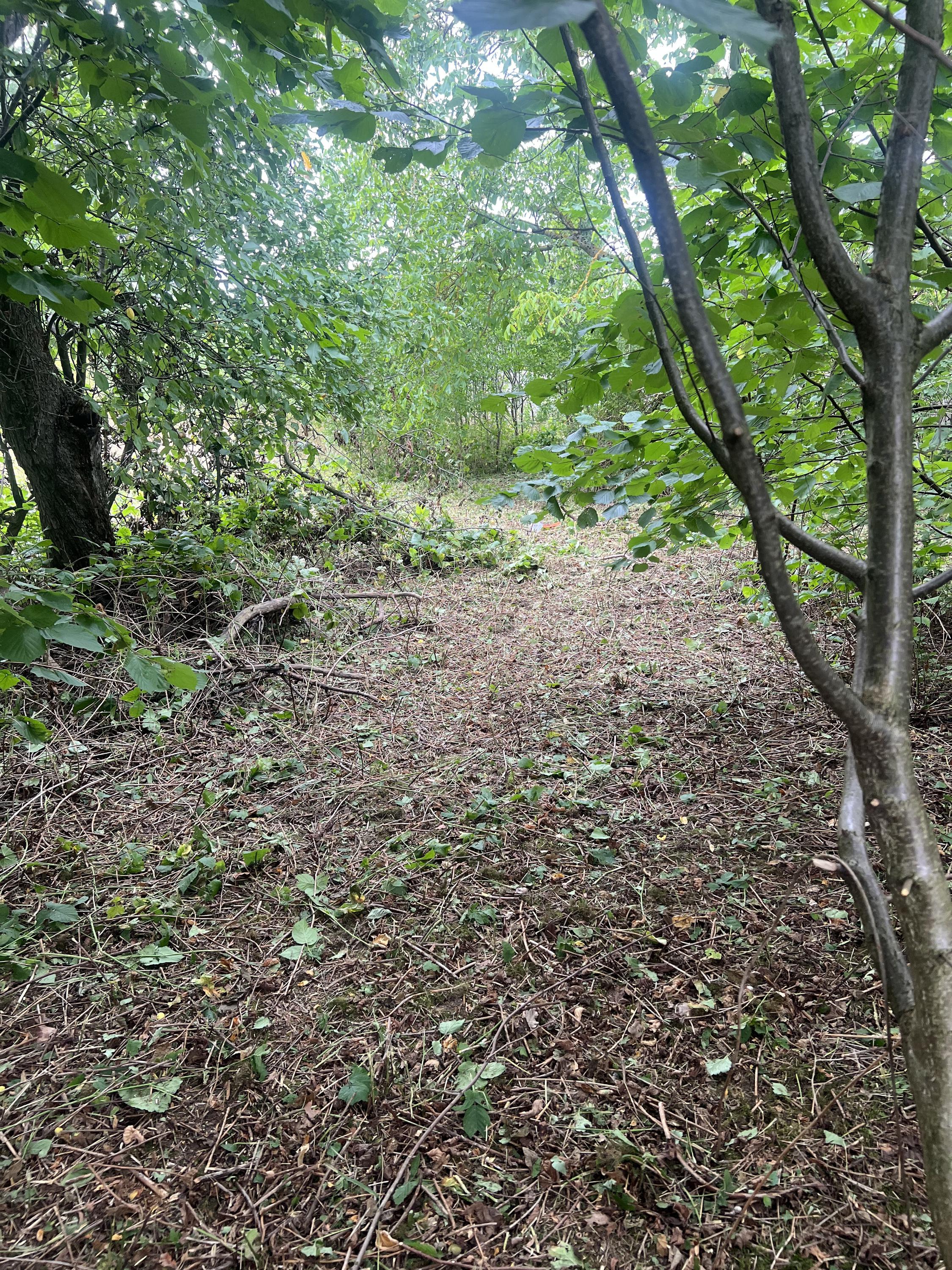 sekam.cz – Sekání trávy a údržba zahrad foto 3