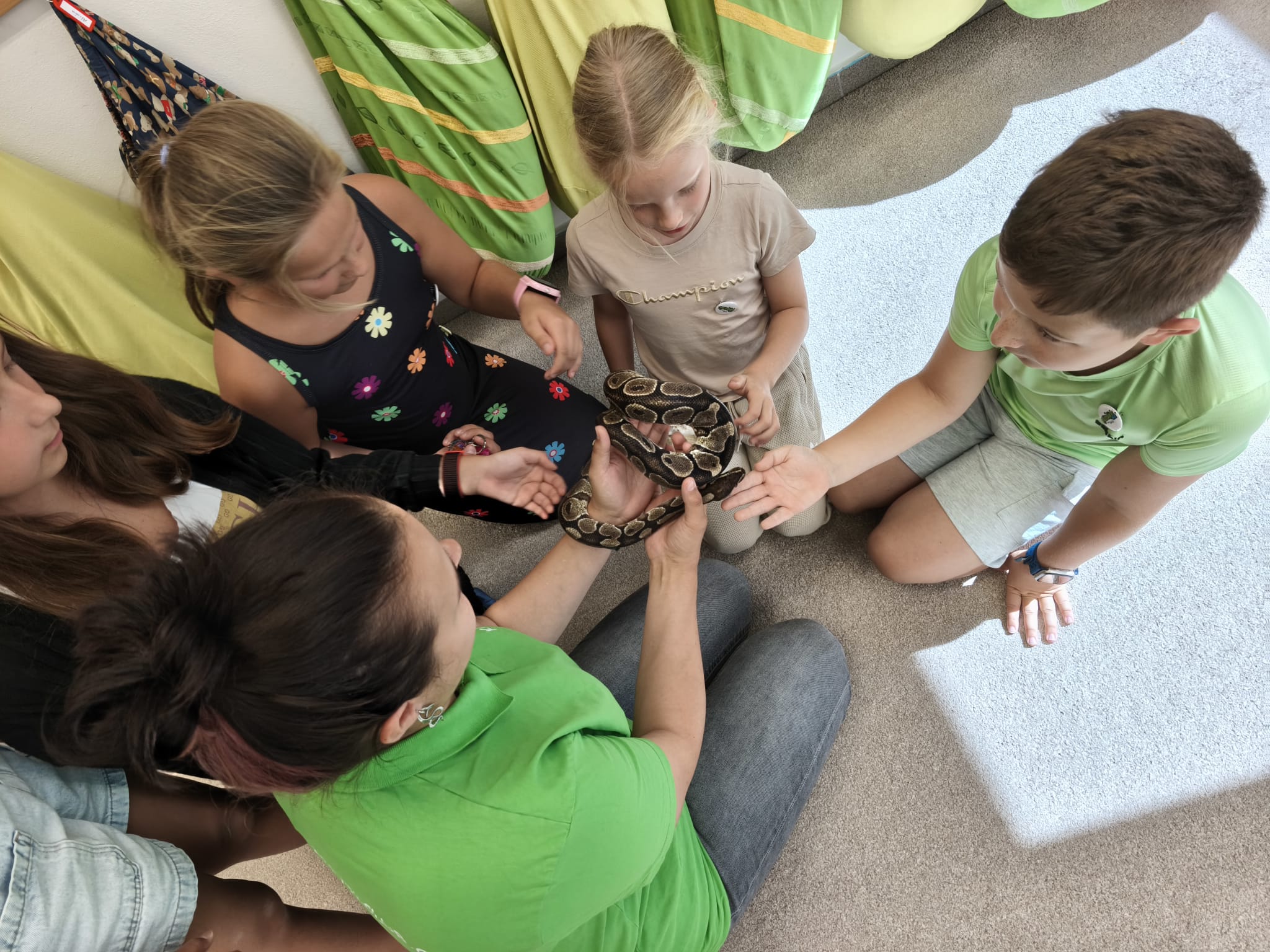 REPTILclub NYMBURK foto 2
