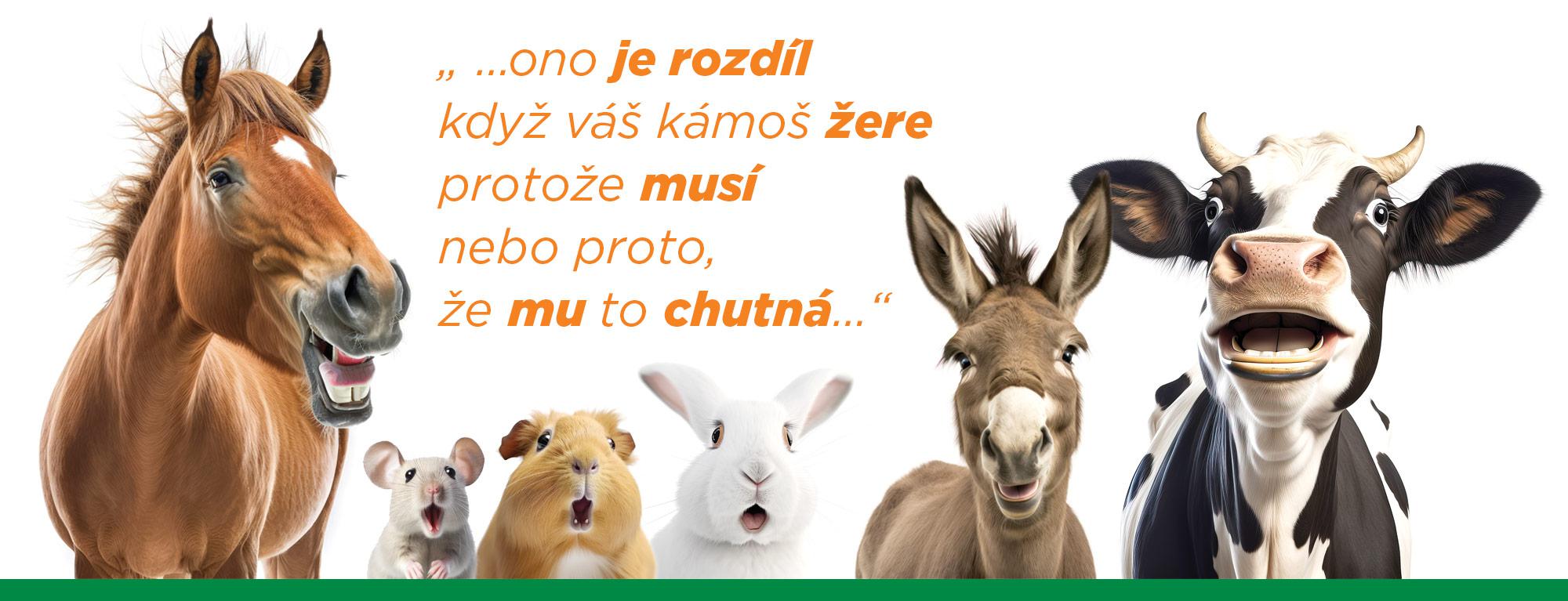 ČESKÉ SENO, s.r.o.