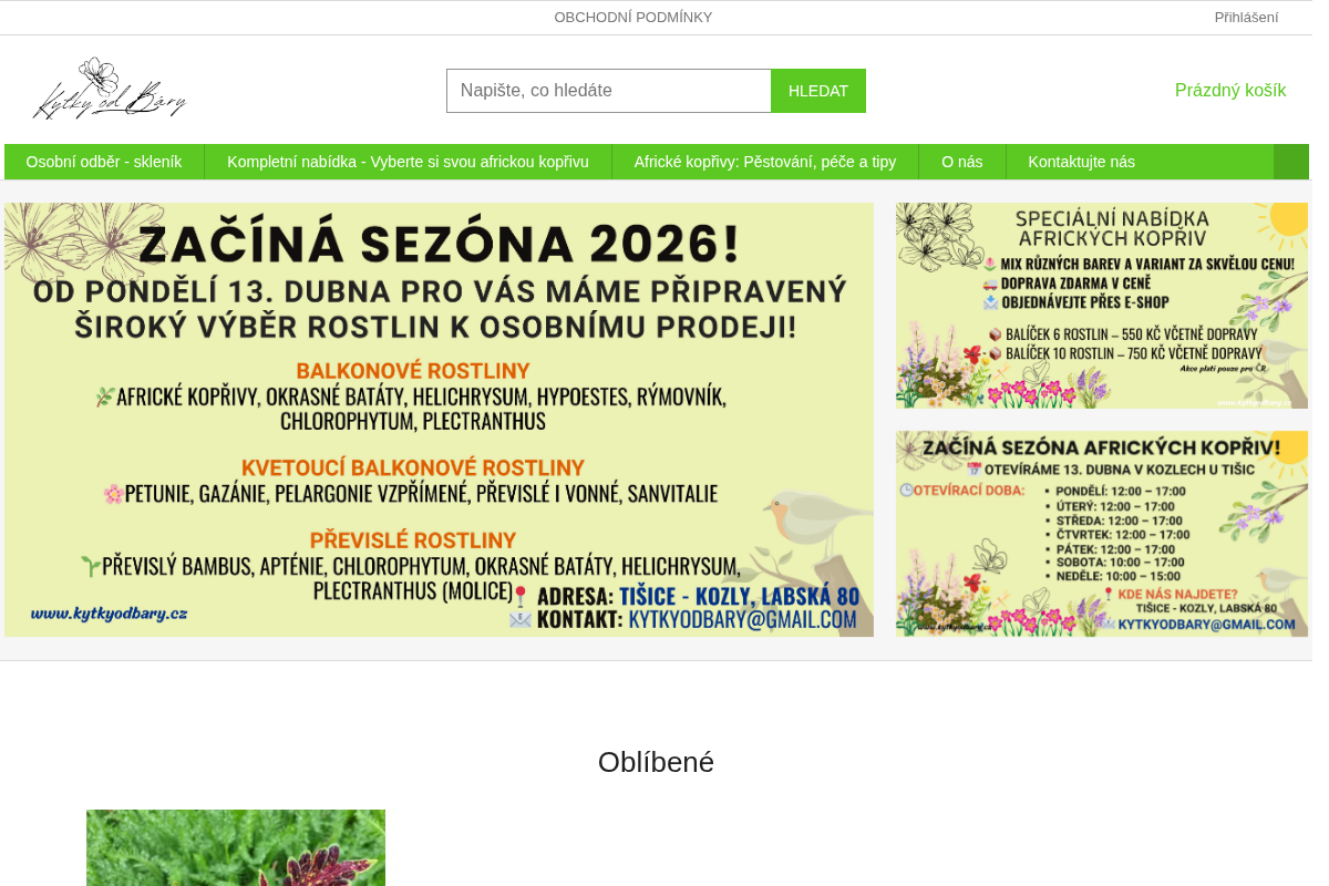 Kytky od Báry