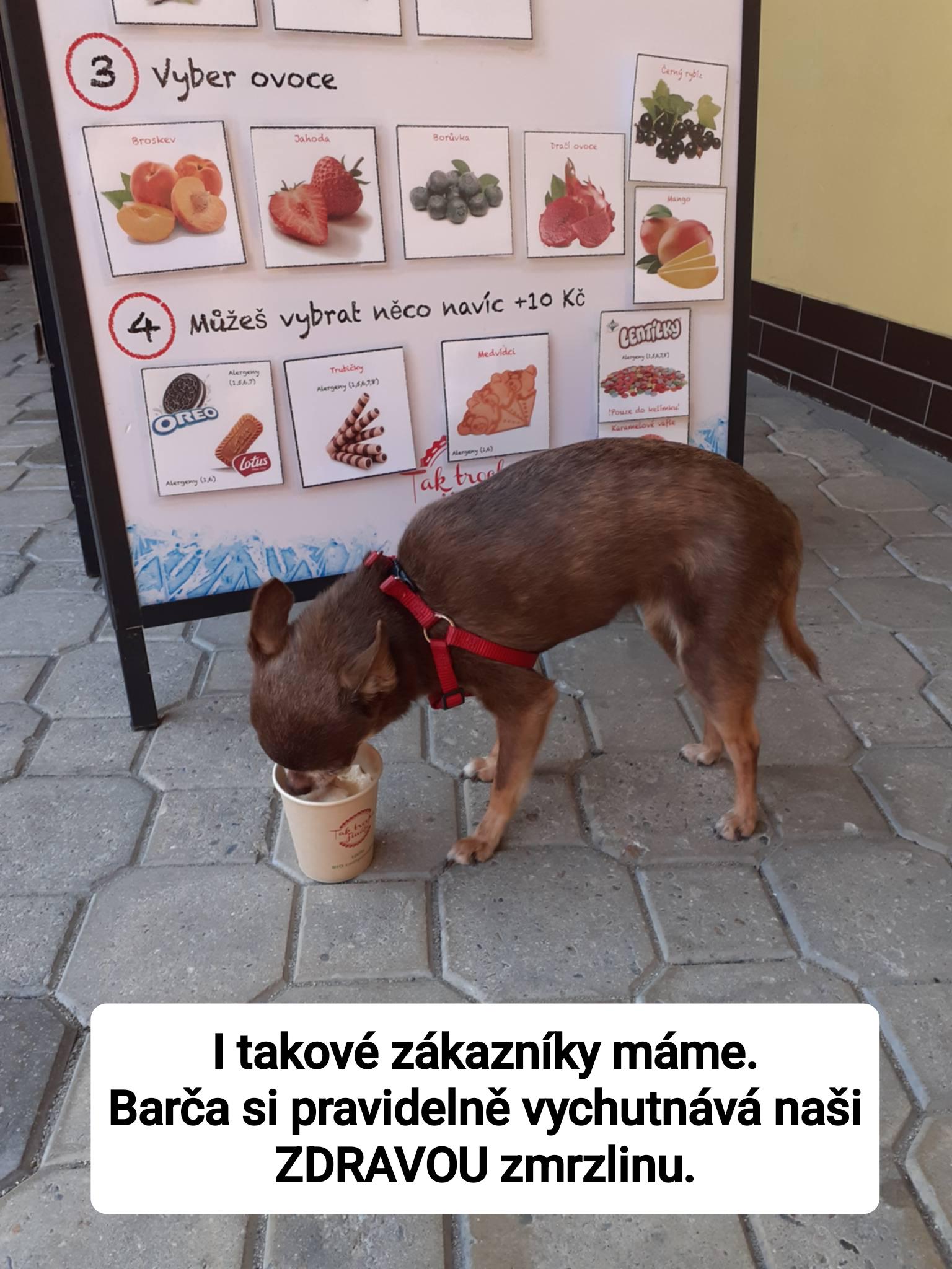 ZMRZLINA Lanžhot foto 4