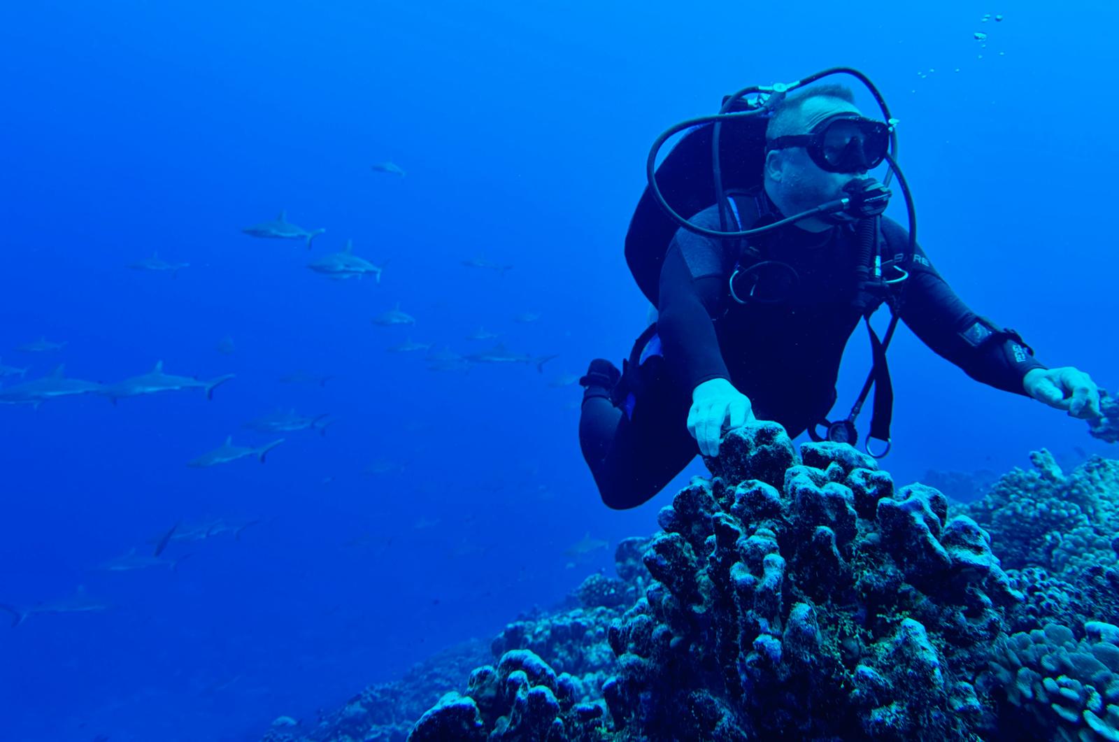 Potápěčská škola Divers Dream foto 6
