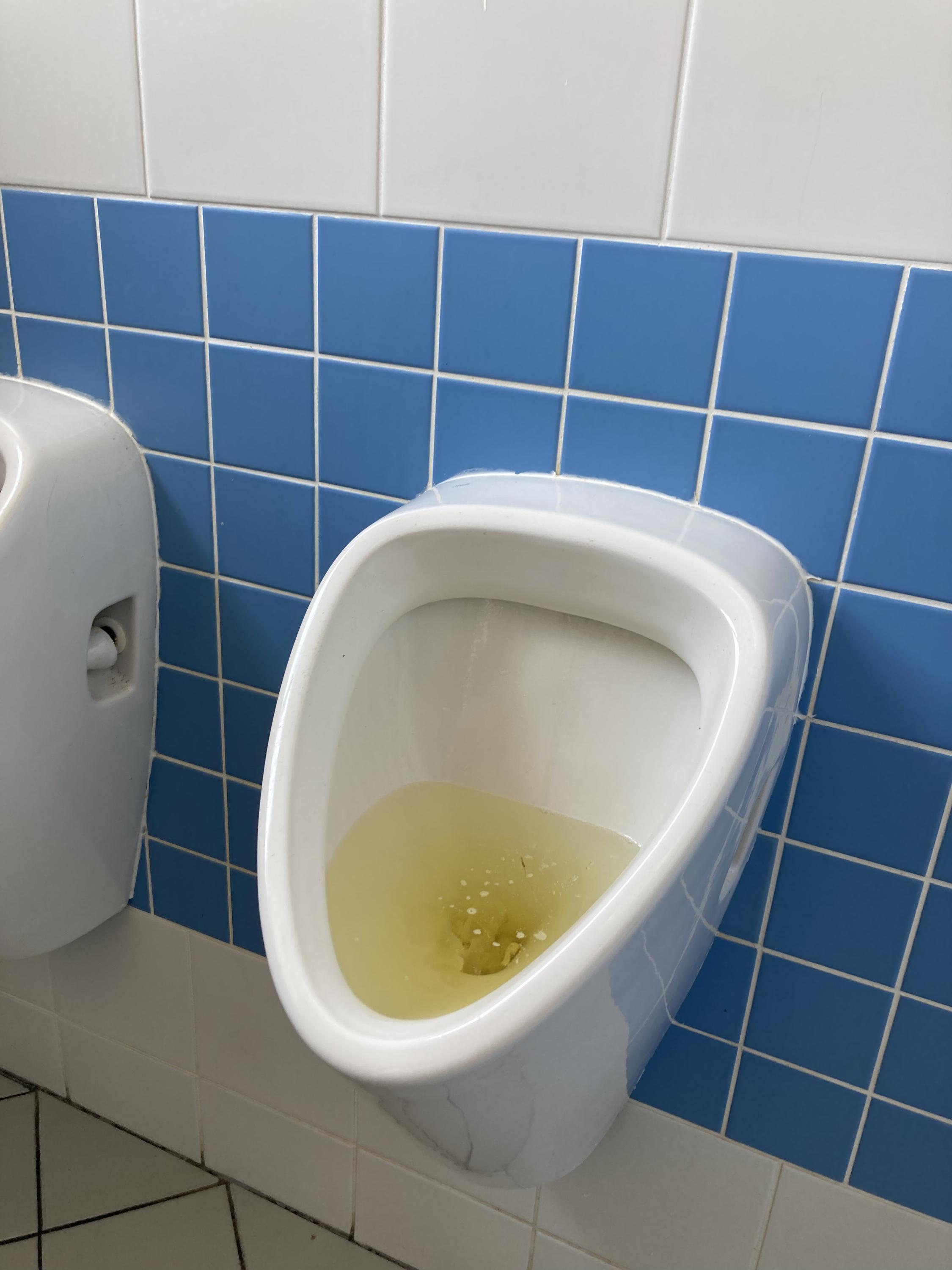 Základní škola Na Dlouhém lánu 43 foto 3