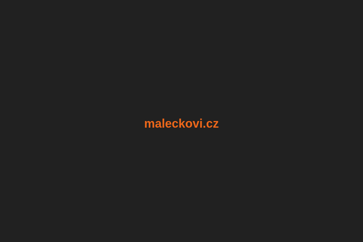 Webovky a aplikace na míru - Maleček