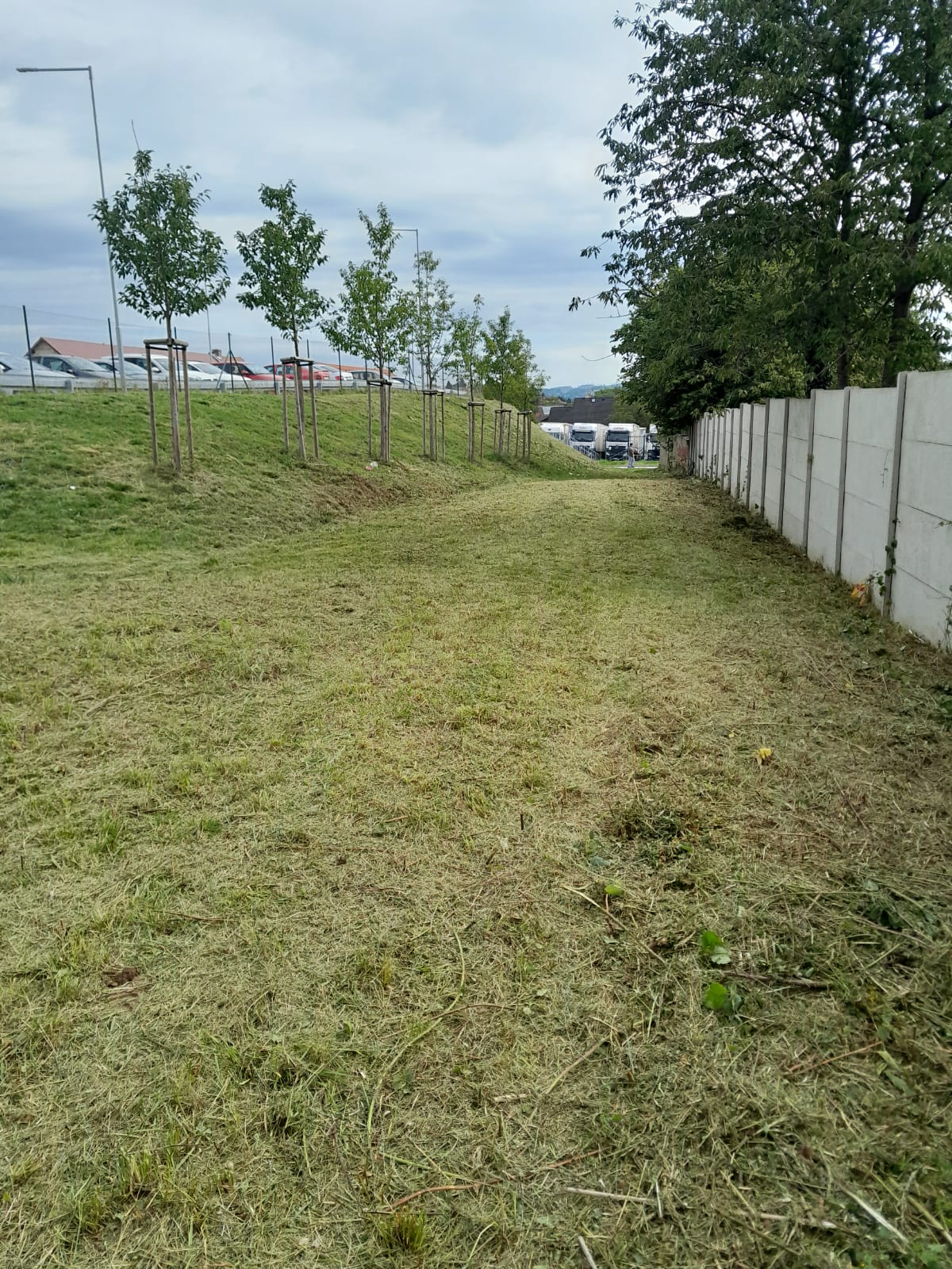PROFI Sekání Vlašim foto 2