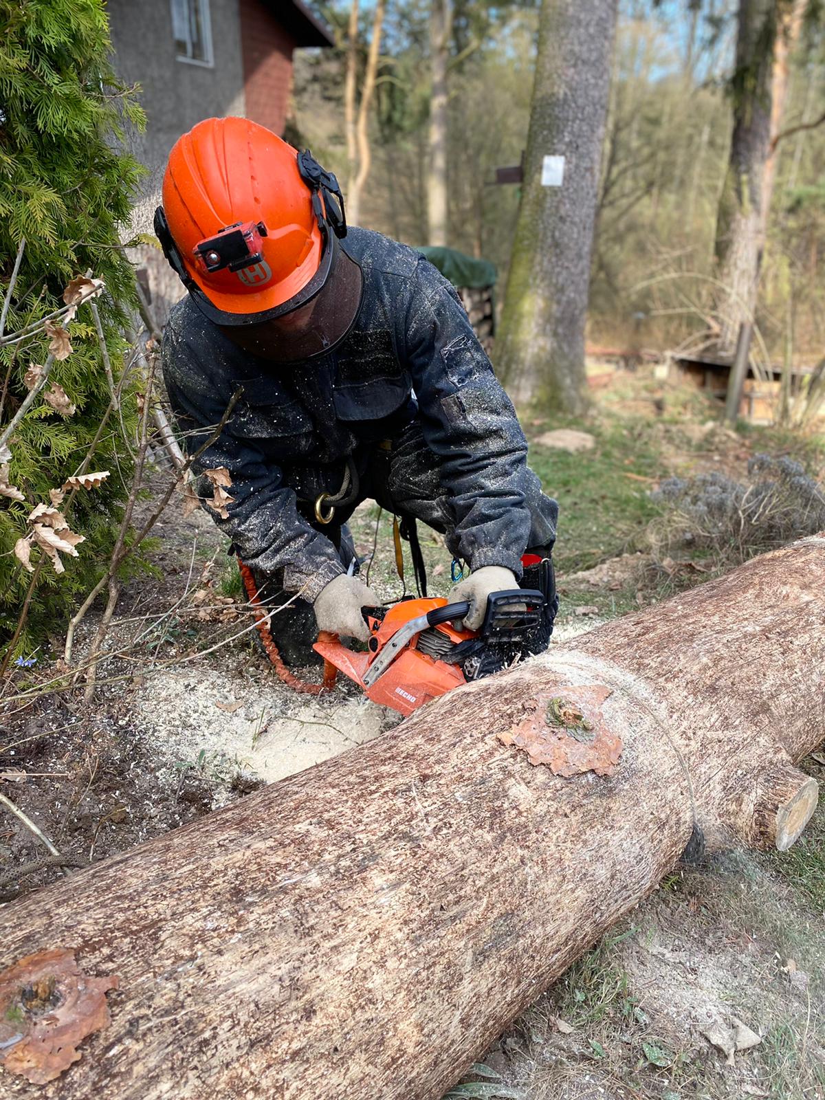 Kácení Ořez stromů MajTree.cz foto 2