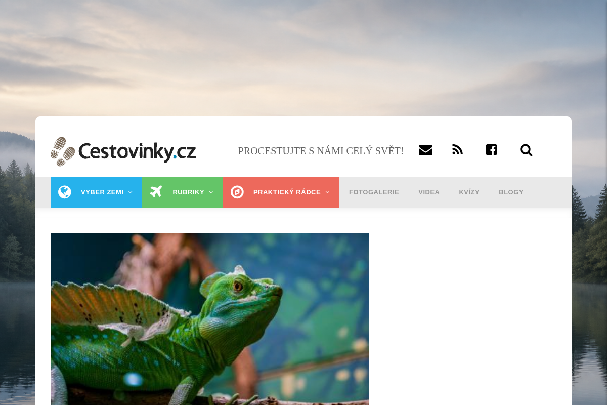 Cestovinky.cz
