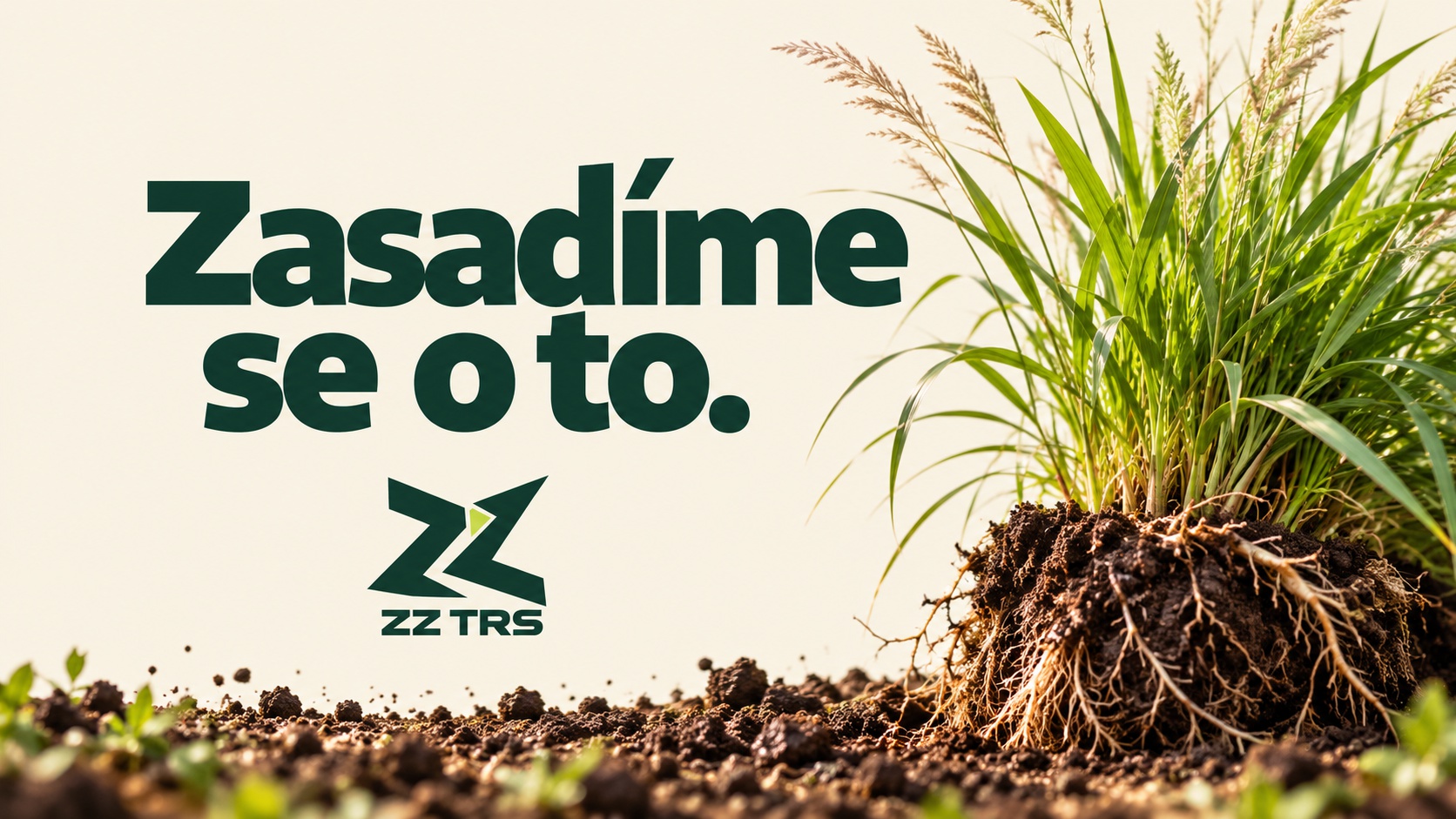 ZZ Trs foto 1