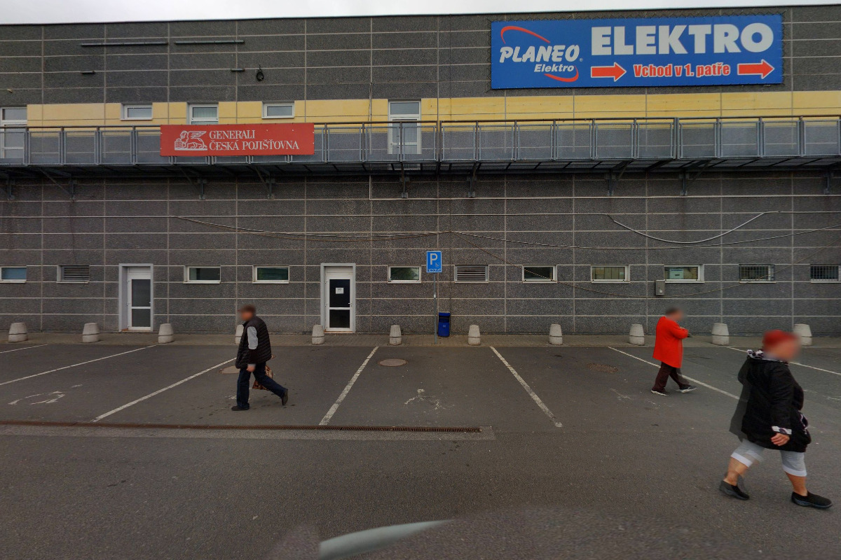Flamengo květiny