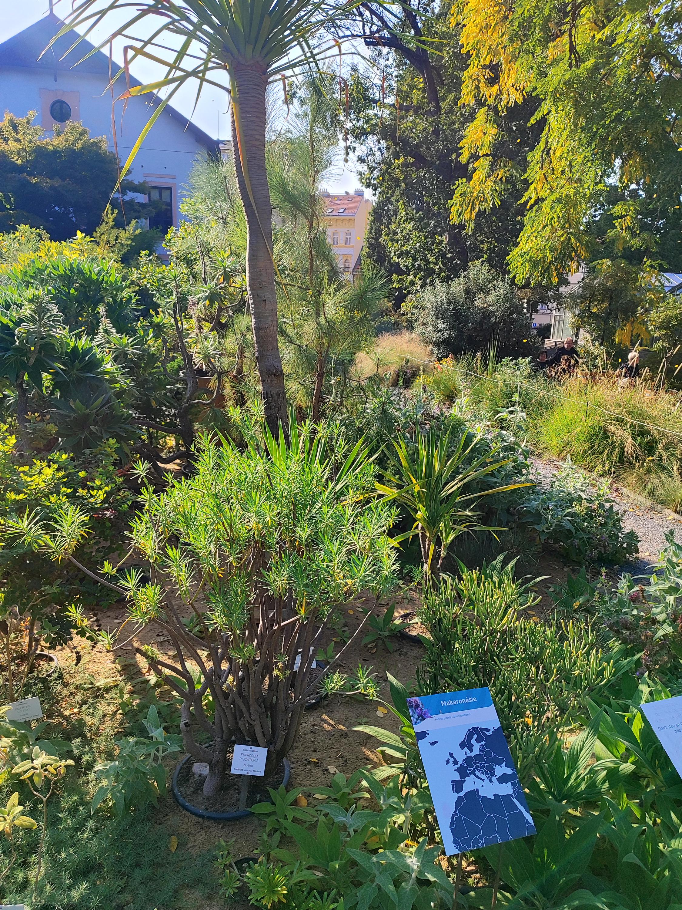 Botanická zahrada Přírodovědecké fakulty Univerzity Karlovy foto 5