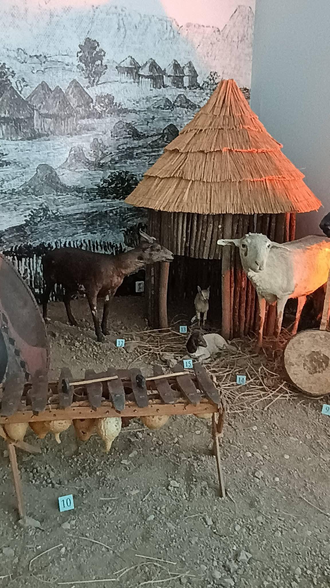 Africké muzeum Dr. Emila Holuba foto 5