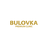 logo Bulovka Premium Clinic