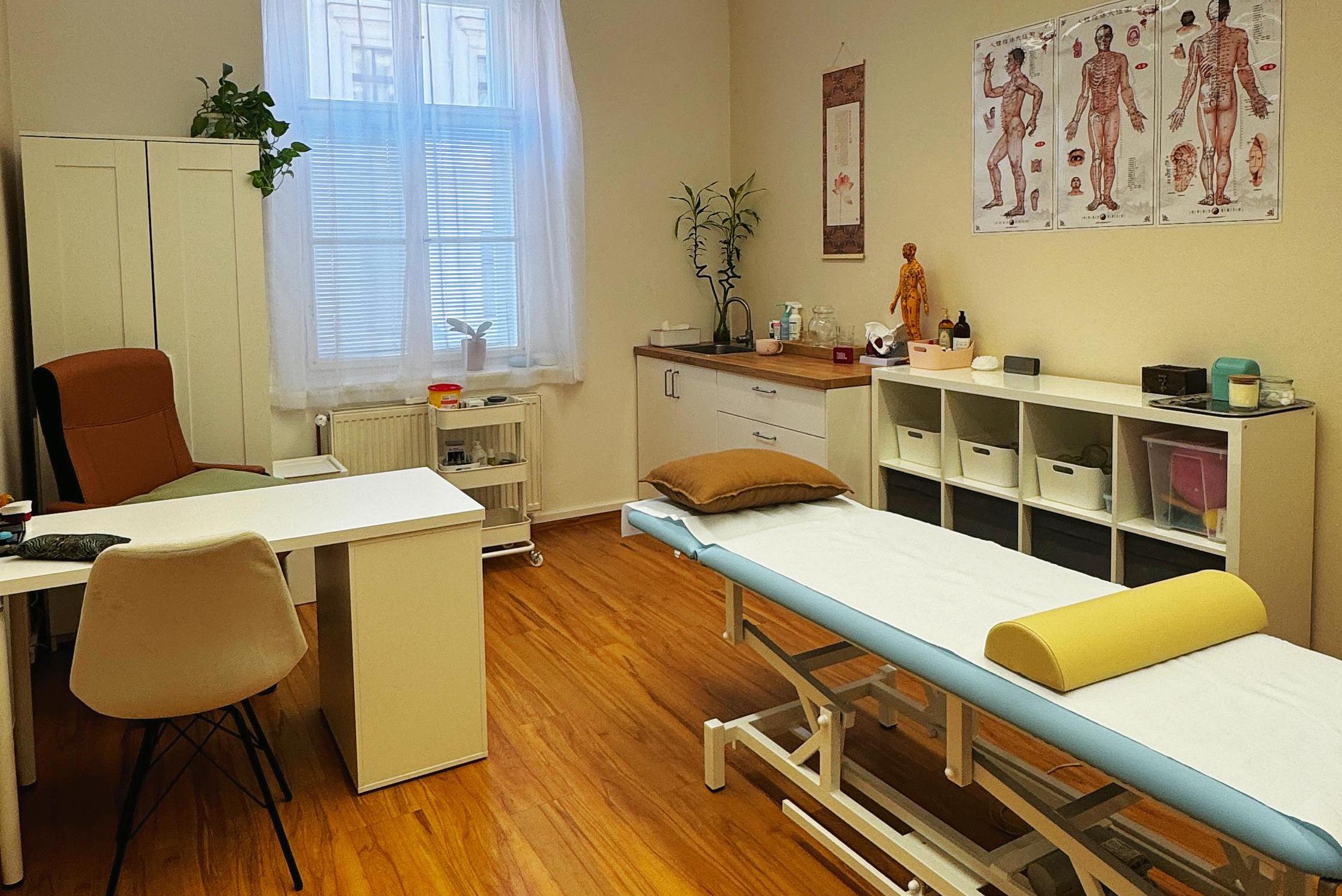 SinoFyzio a Tradiční čínská medicína, TČM - Bc. Xin Wen