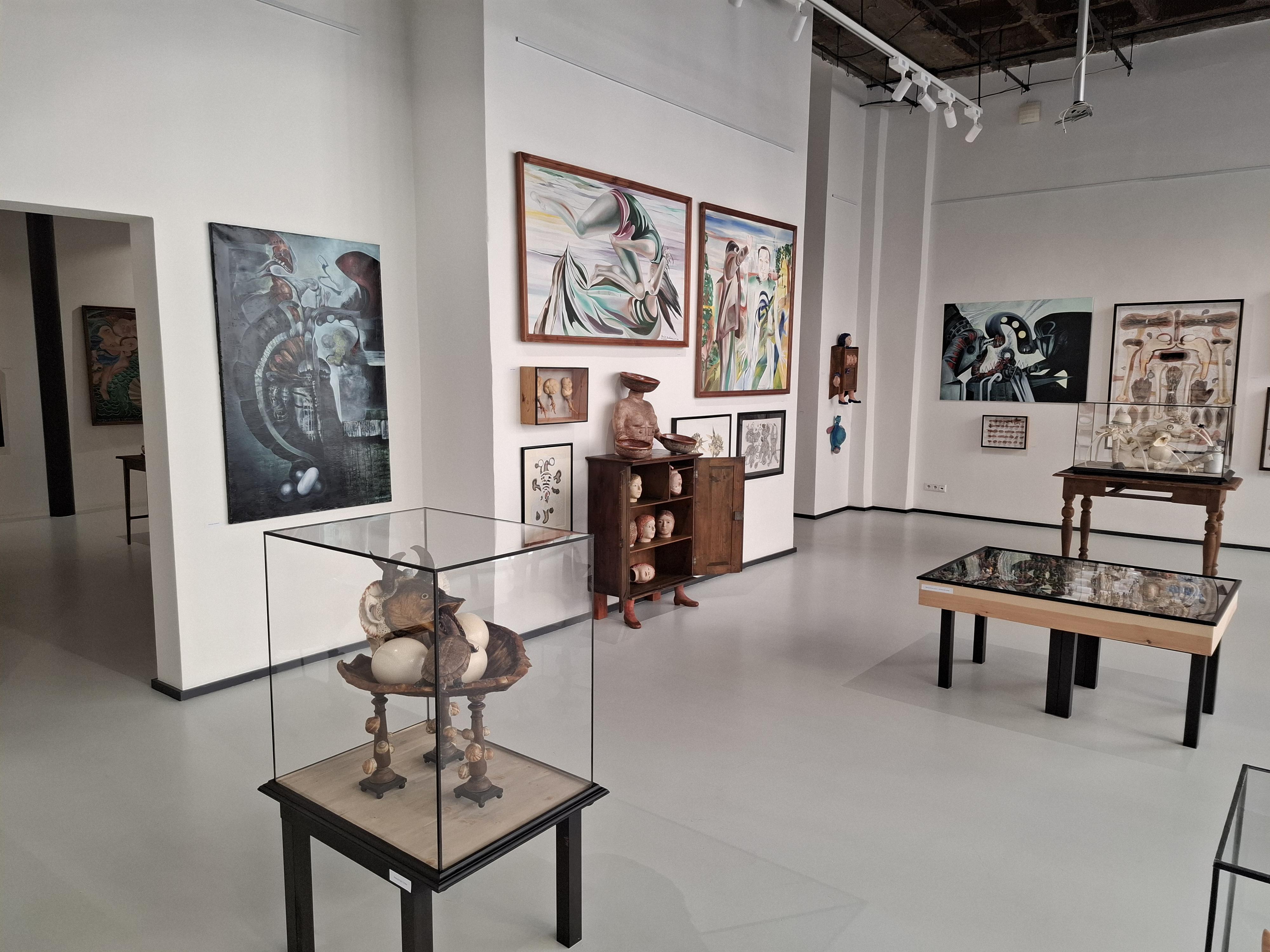 Galerie 1 foto 4