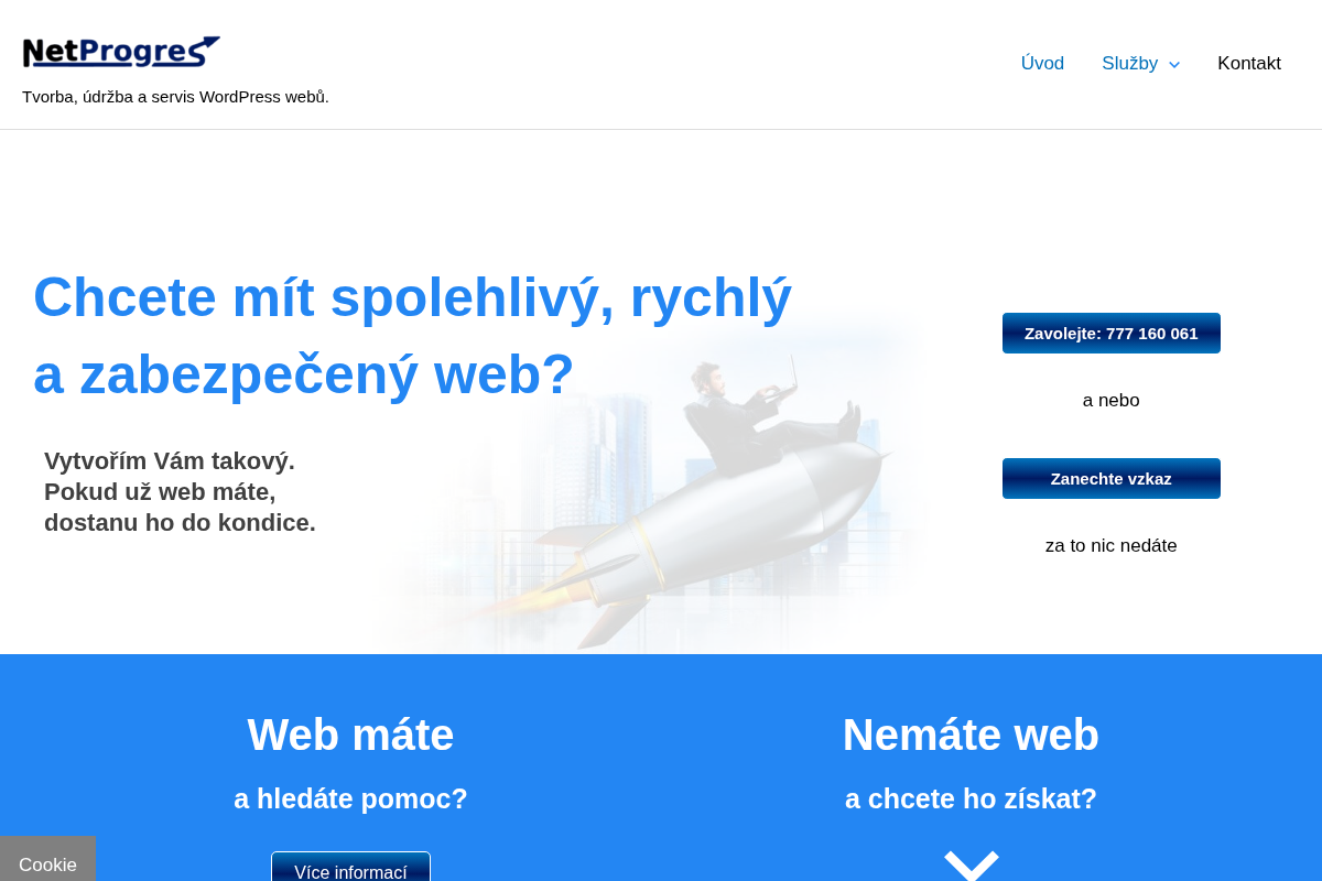 Ladislav Pospíšil - NetProgres
