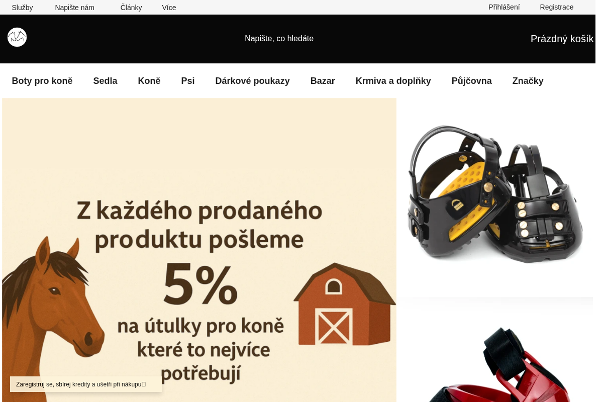 Mustangove.cz