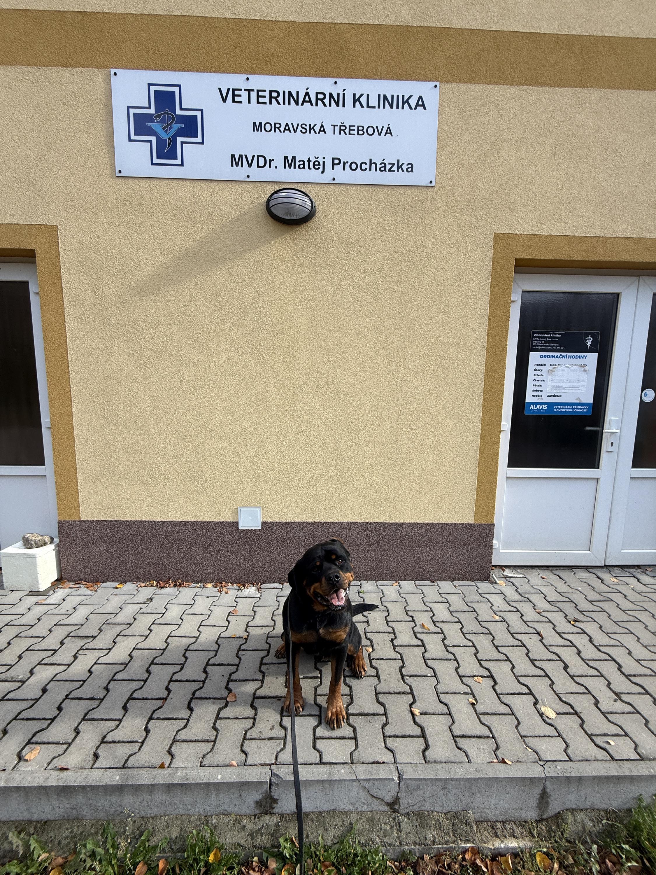 Veterinární ordinace MVDr. Matěj Procházka
