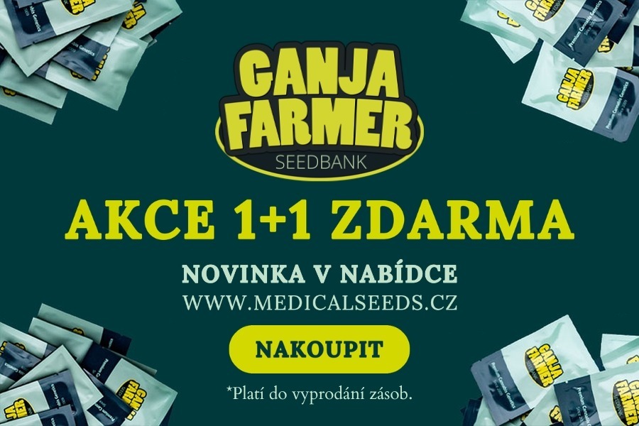 NOVINKA V NABÍDCE