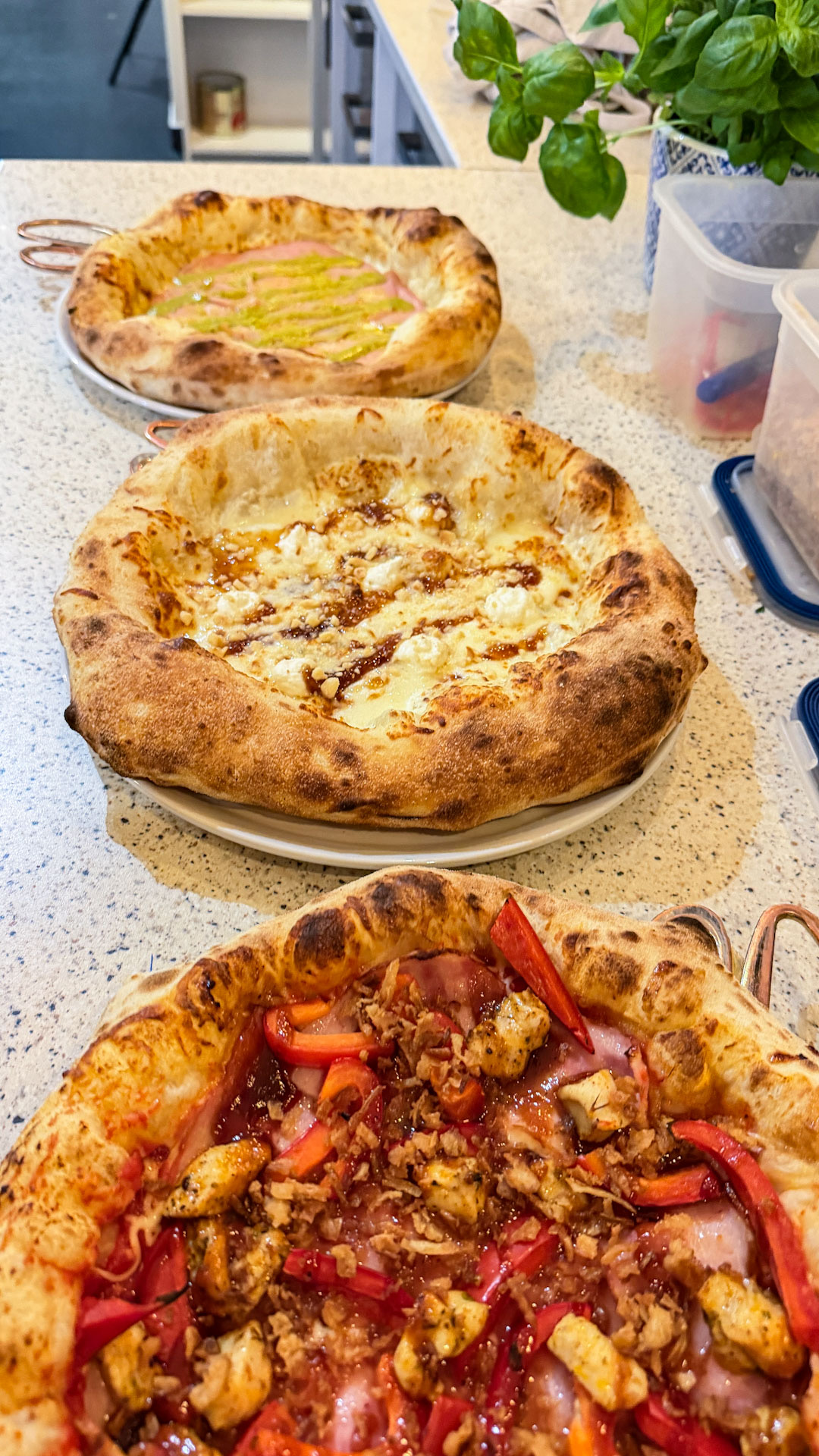 Restaurace Ella's pizza Napoletana foto 6