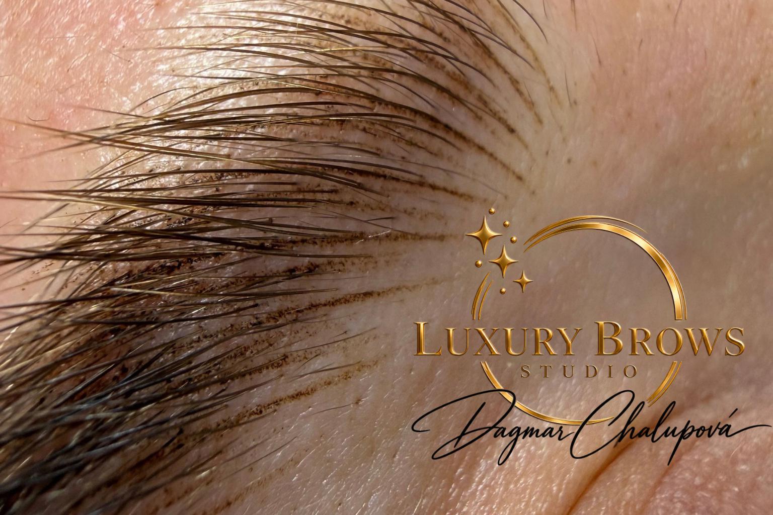 Dagmar Chalupová | Luxury Brows Studio foto 1