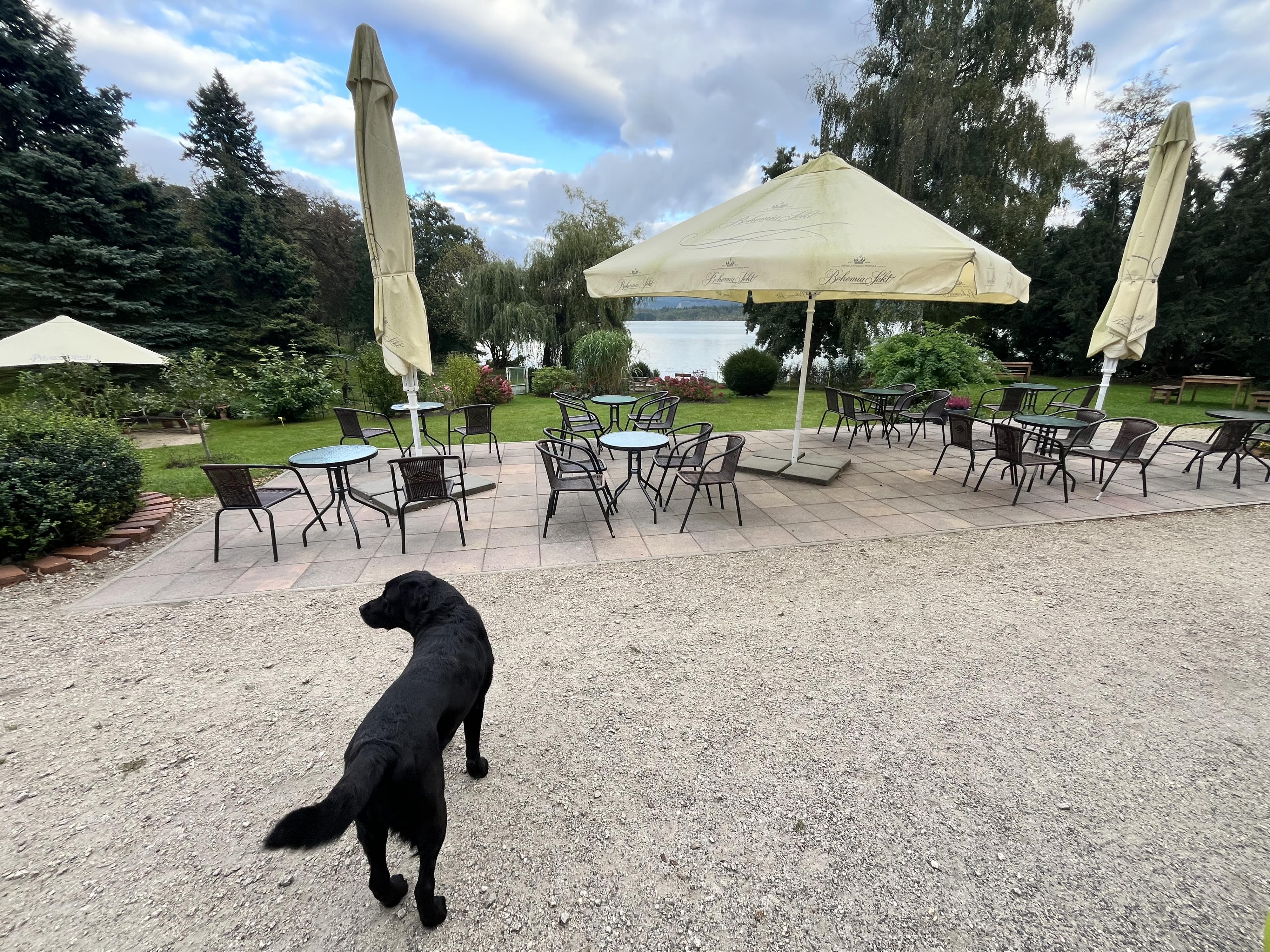 Café Na Zámečku 1609 foto 2