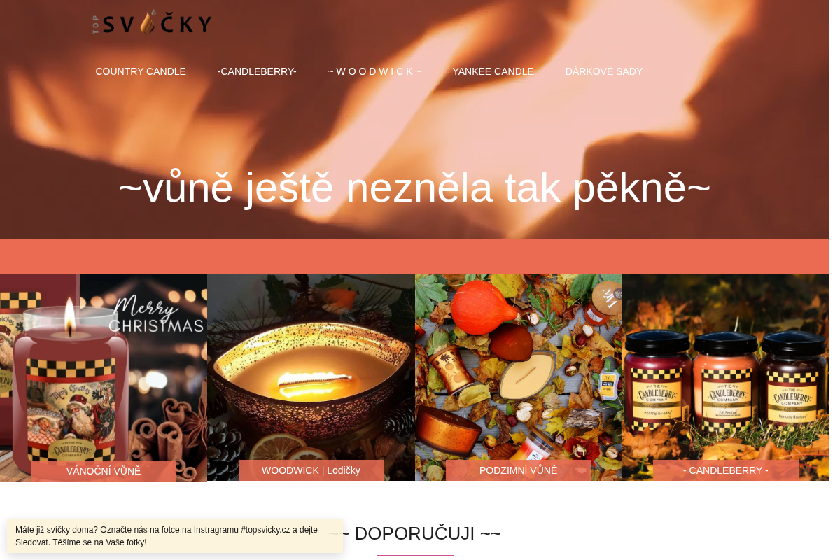 Topsvicky.cz