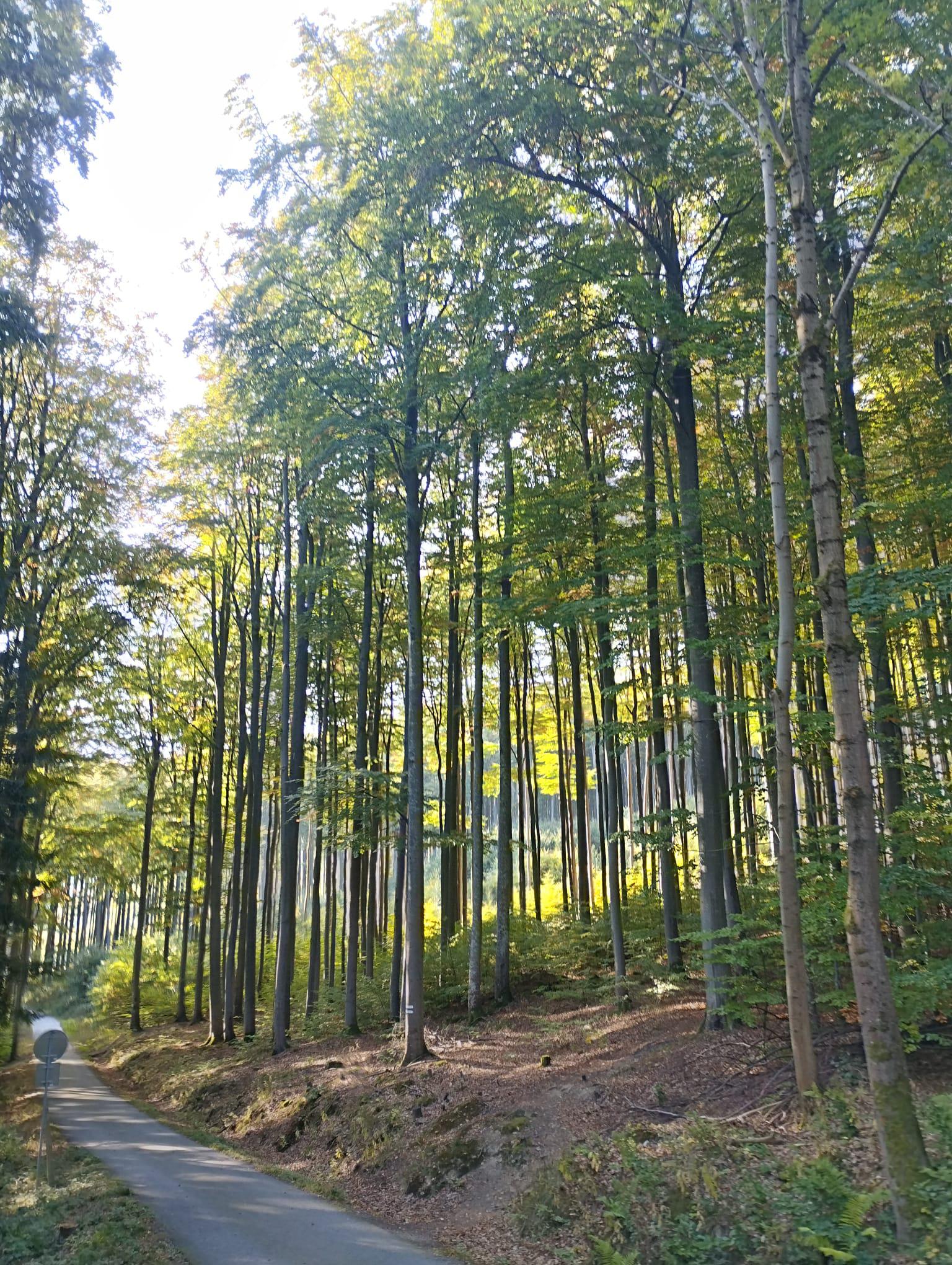 Lanovka Kleť foto 5