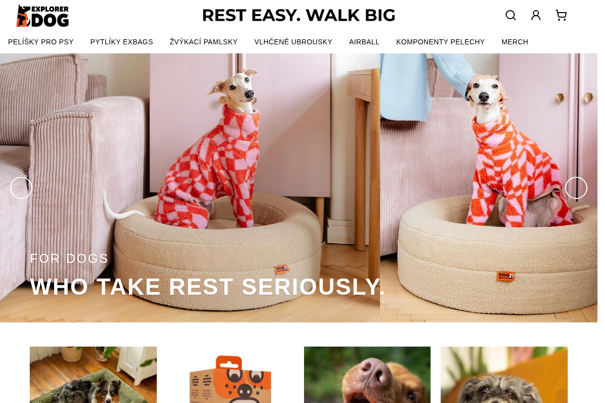 Theexplorerdog.com
