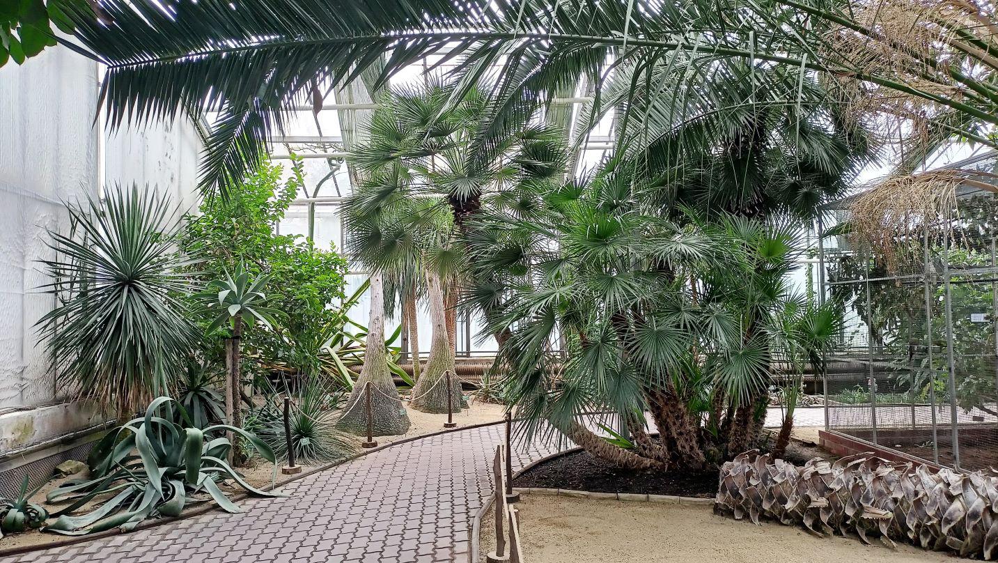 Sbírkové skleníky Výstaviště Flora Olomouc foto 3