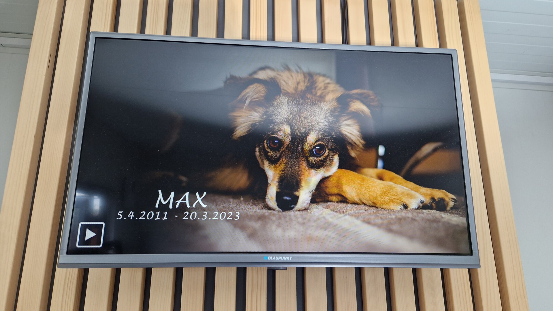 Memory Pet Point foto 5