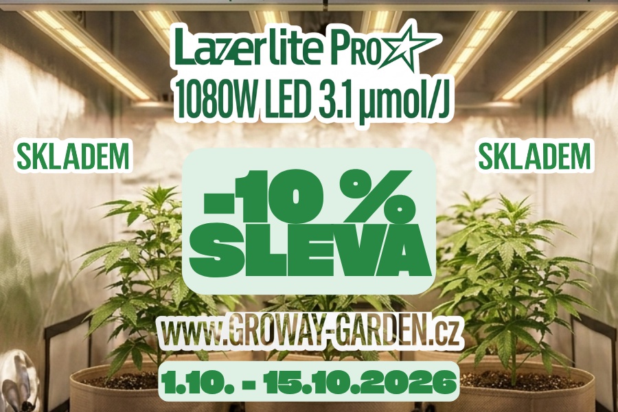 10% SLEVA