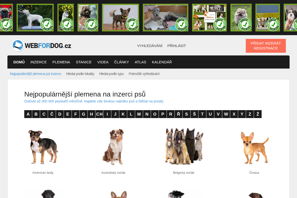 WEBFORDOG.cz