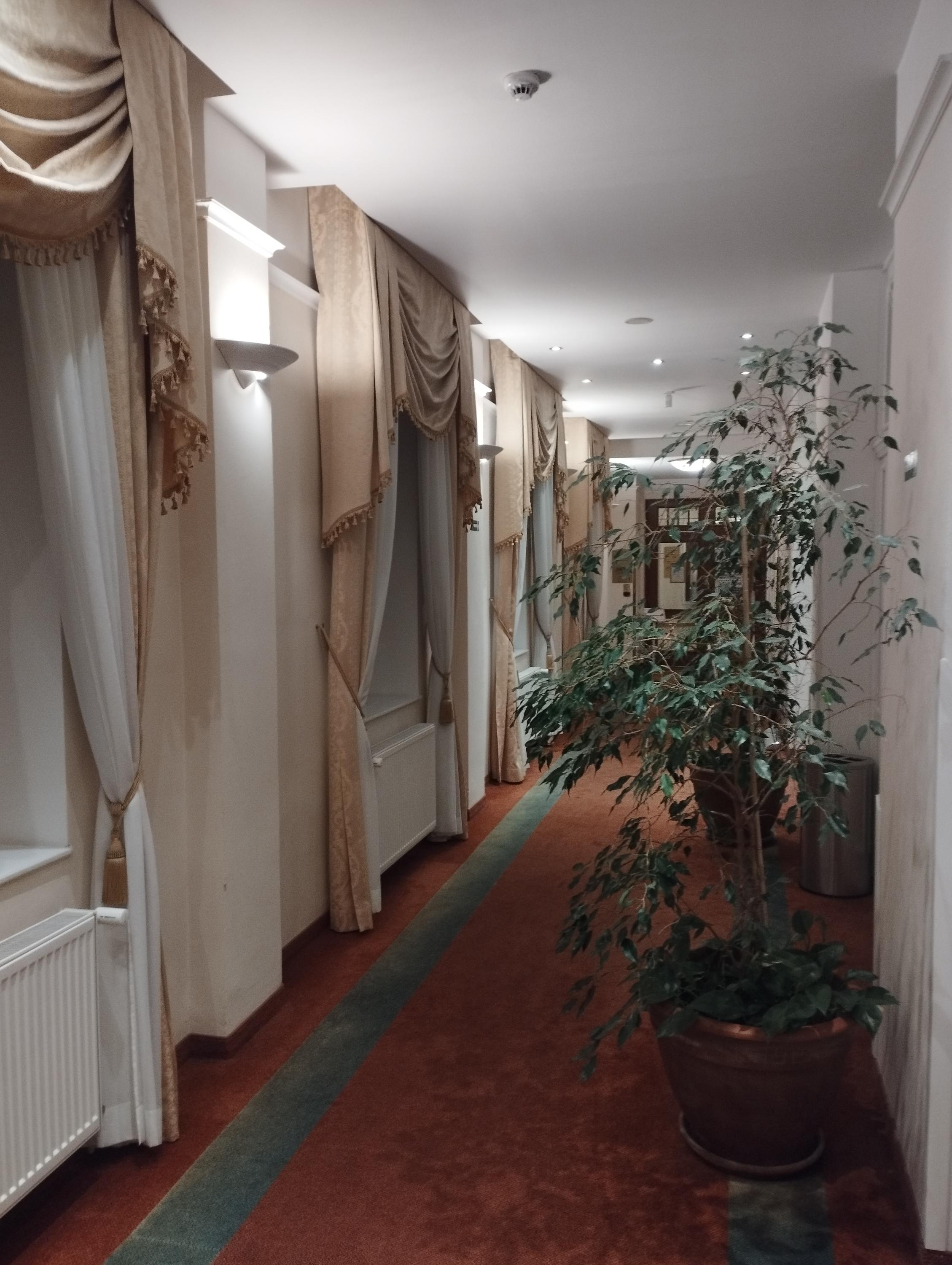 Ensana Hvězda - Imperial foto 3