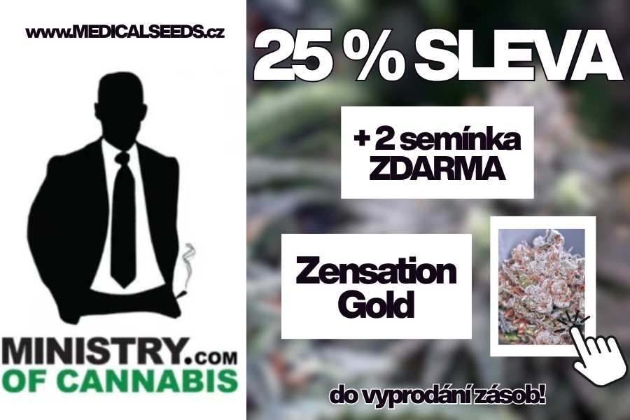 Ministry Of Cannabis