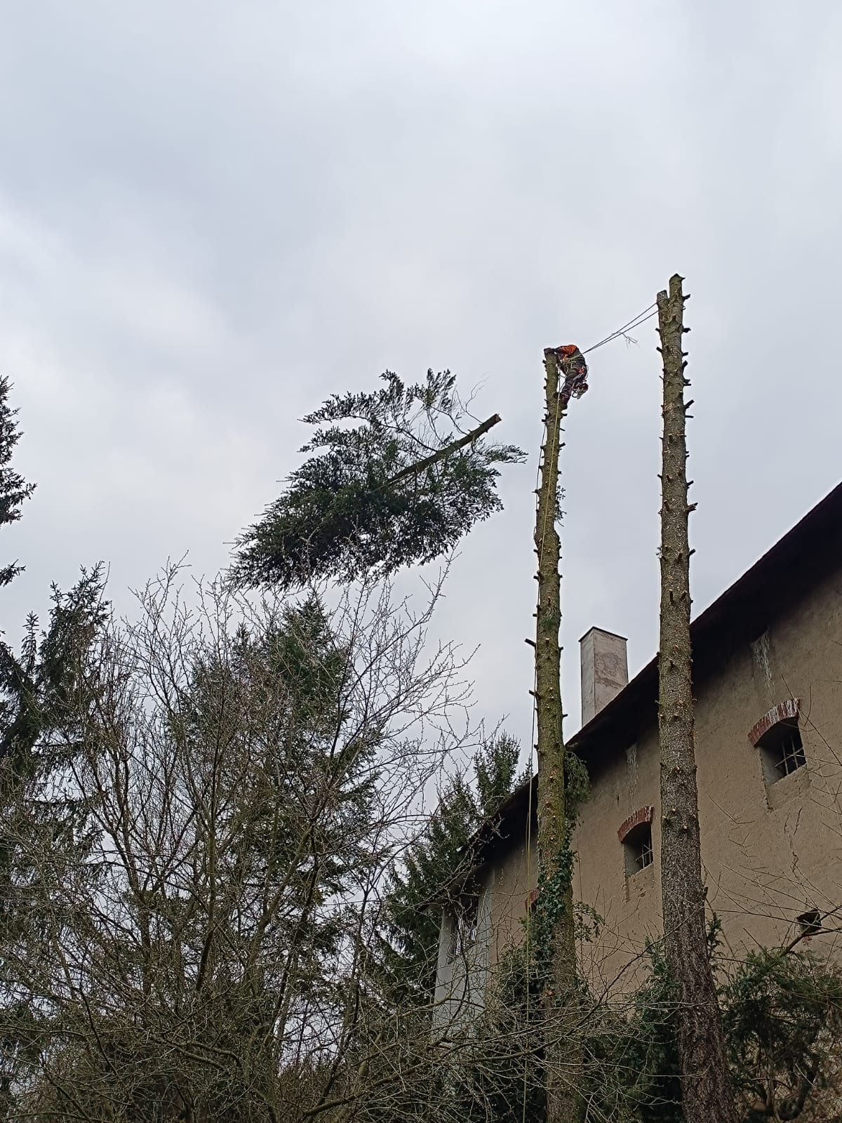 DK výšky | Kácení a výškové práce foto 4