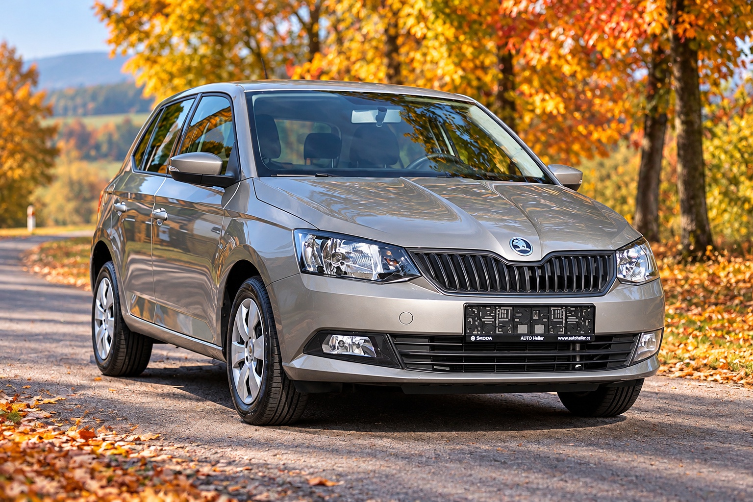 Pronájem | Škoda Fabia III