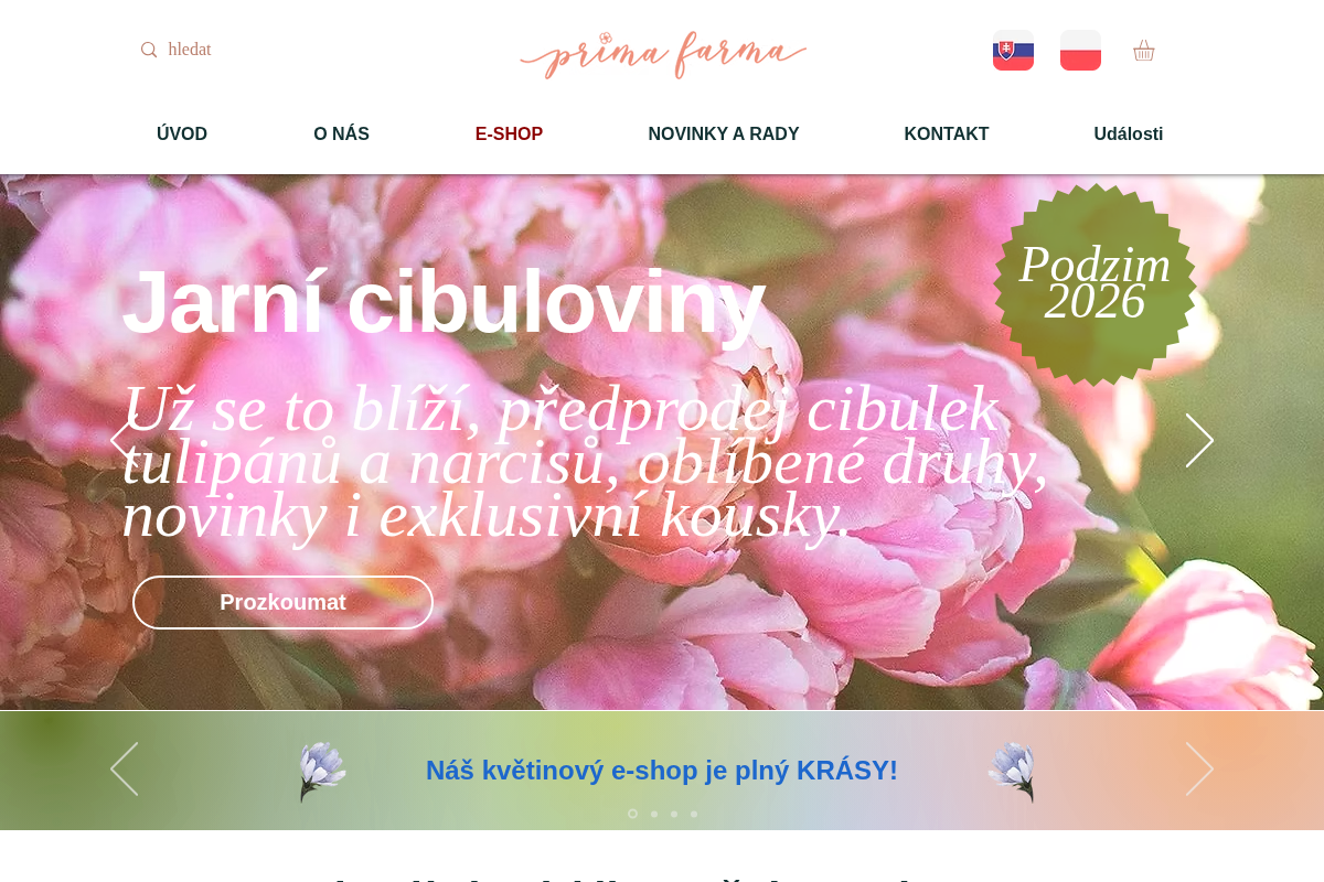 Prima kytky