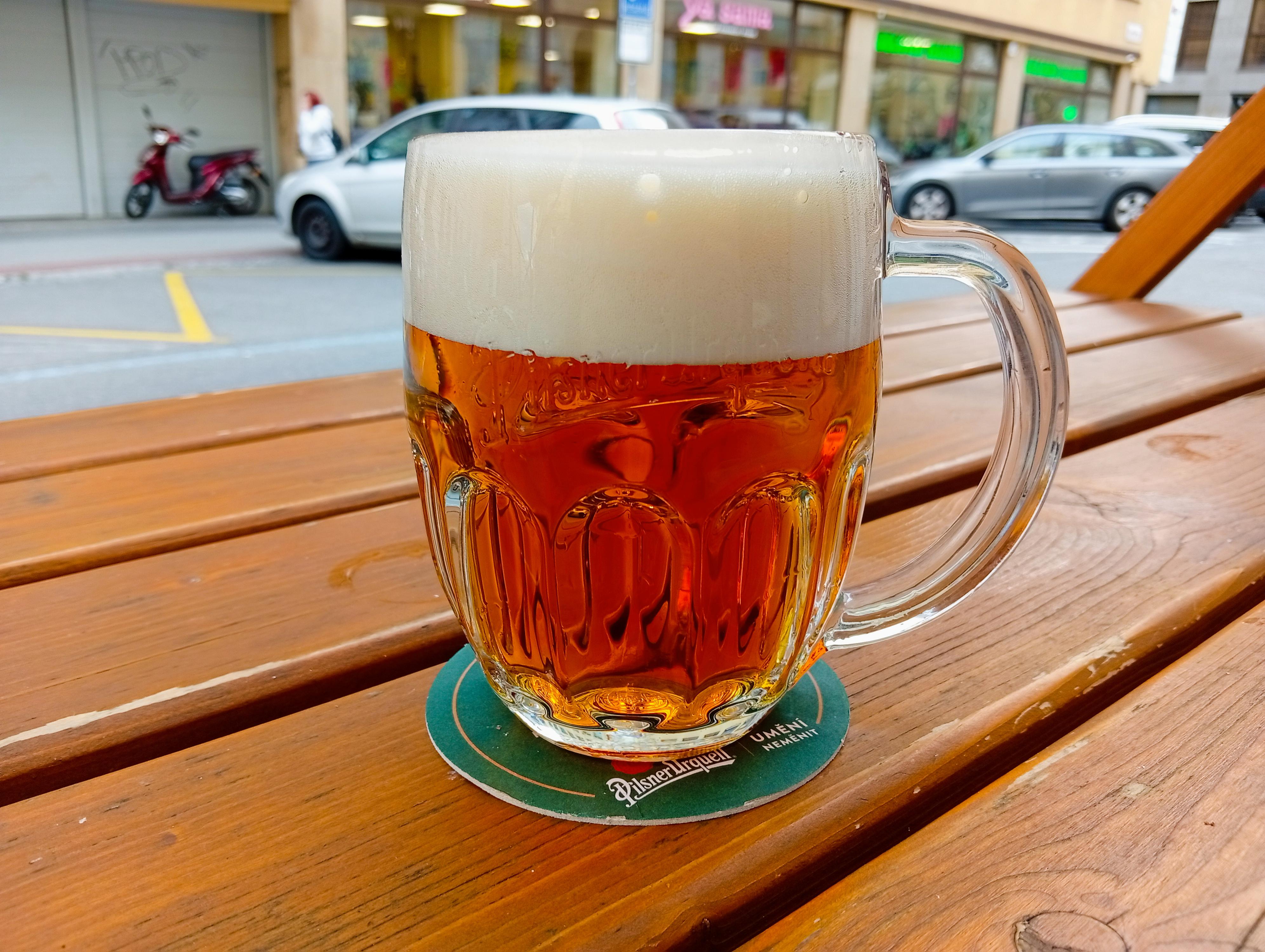 Zelená Kočka Pivárium foto 3