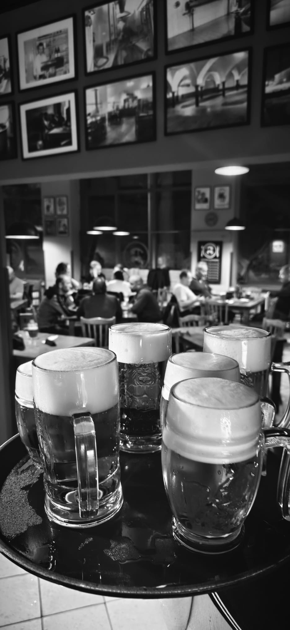 Restaurace Lidový Dům - Pivnice - Gril