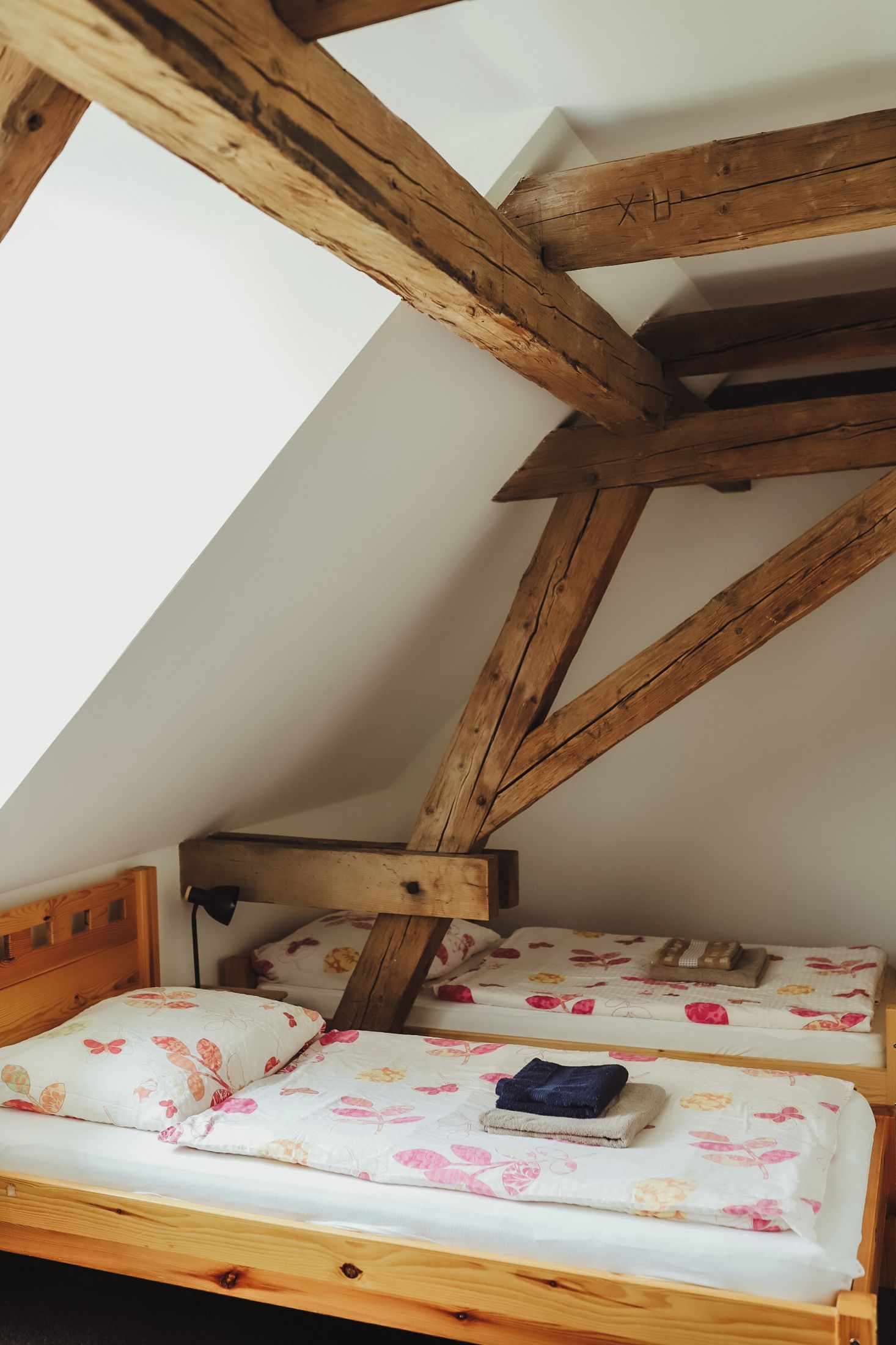 Dvoulůžkový pokoj v penzionu, Cheb