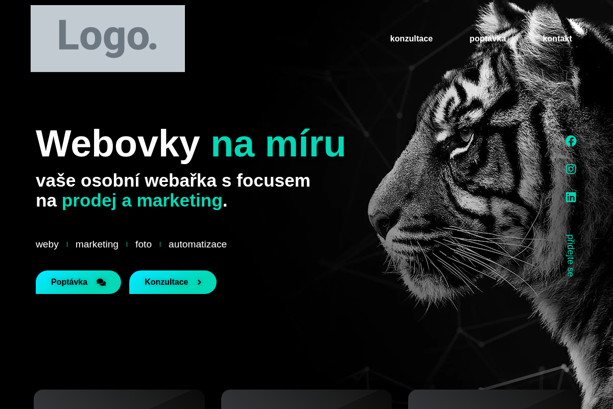 Tvorba webu u silnice