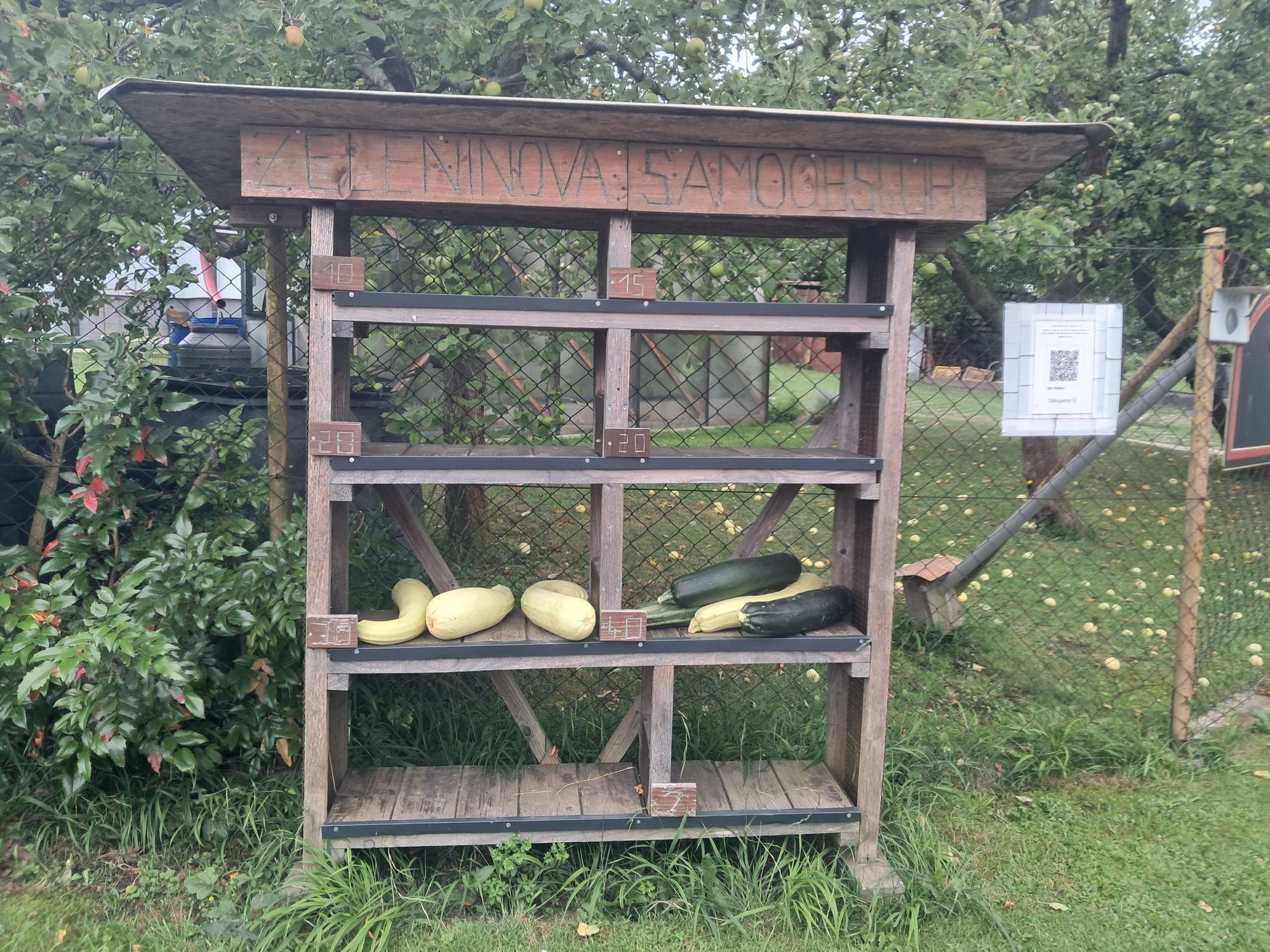 Zeleninová samoobsluha foto 1