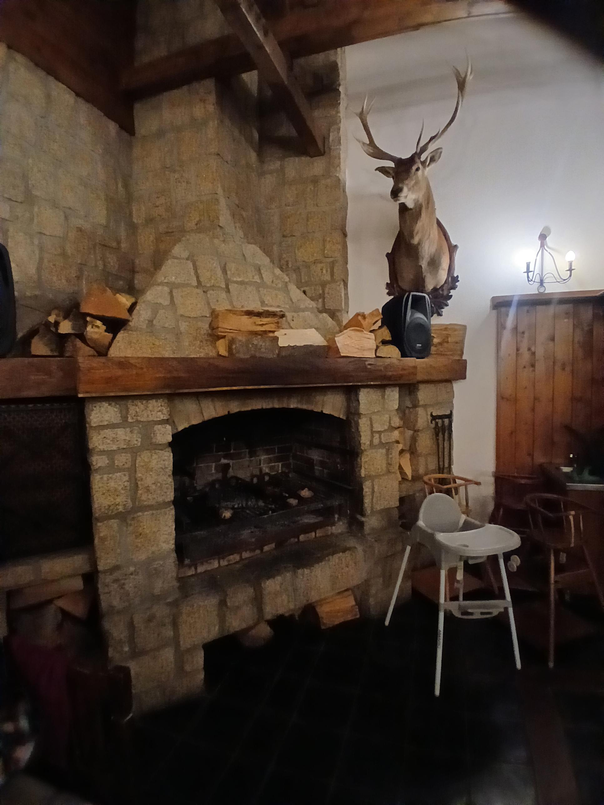 Restaurace U Medvěda foto 4